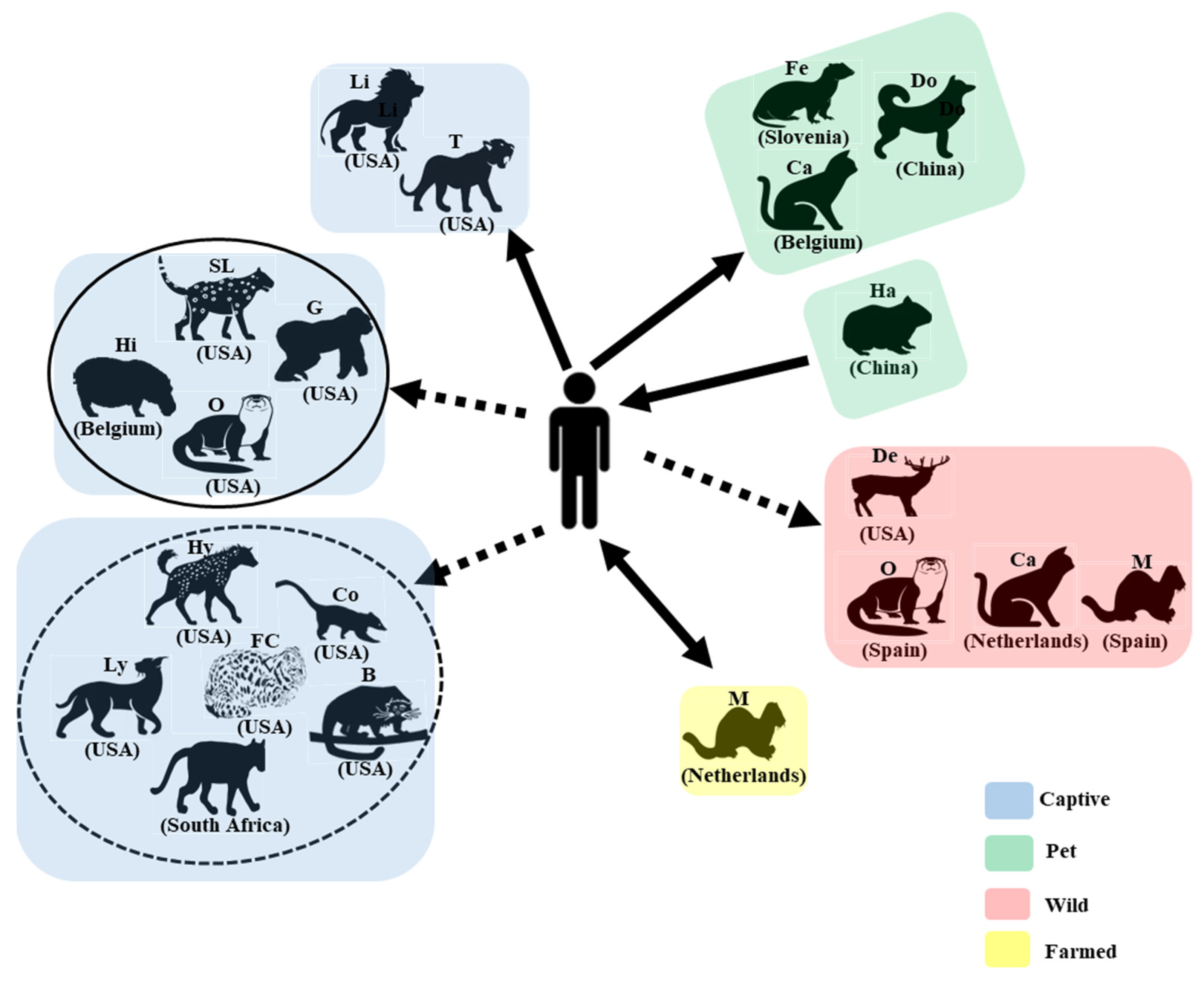 Viruses | Free Full-Text | An Updated Review on SARS-CoV-2 Infection in  Animals