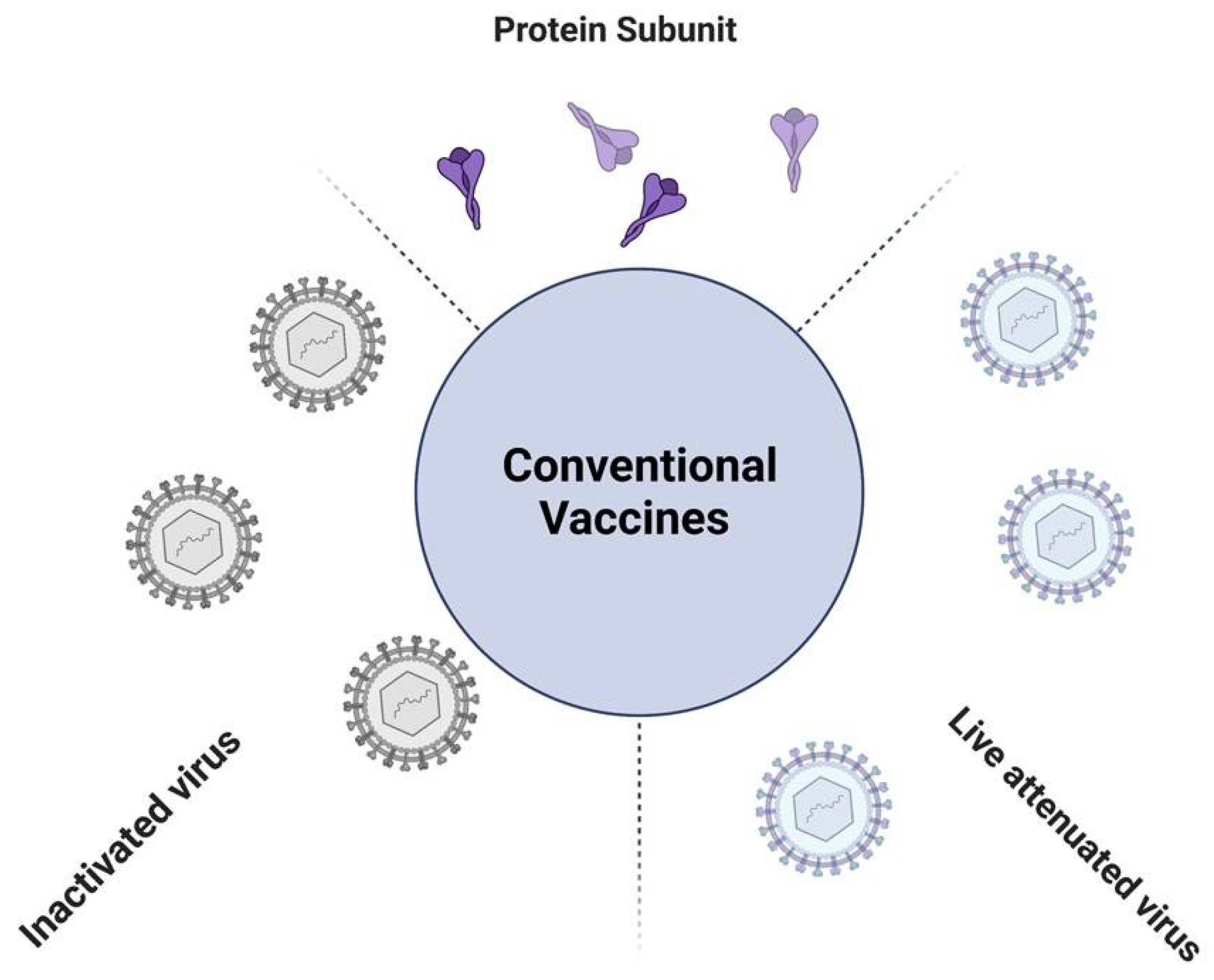 Viruses | Free Full-Text | Think like a Virus: Toward Improving ...