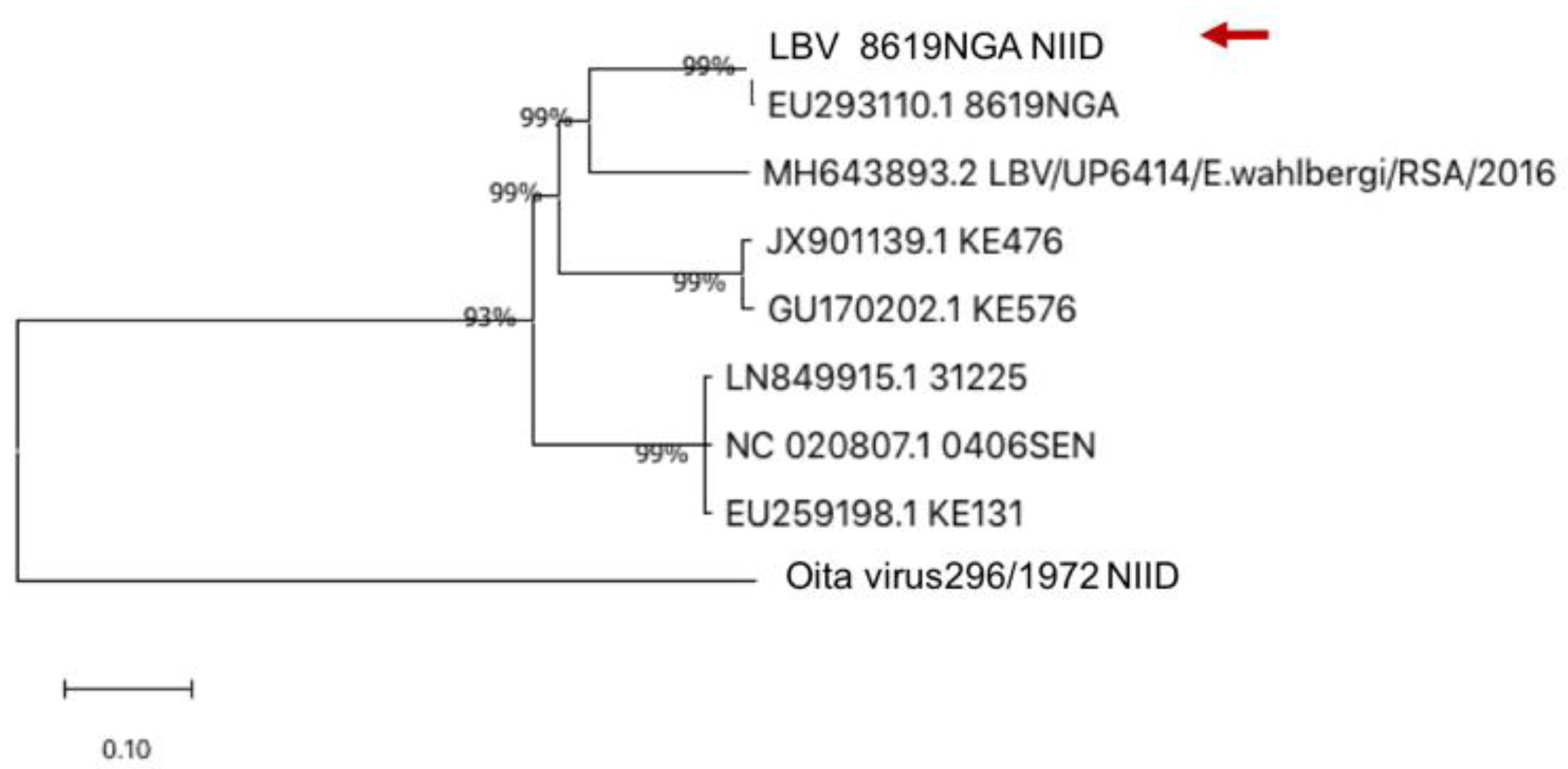 Viruses | Free Full-Text | Genetic Characterization Of Human Rabies ...