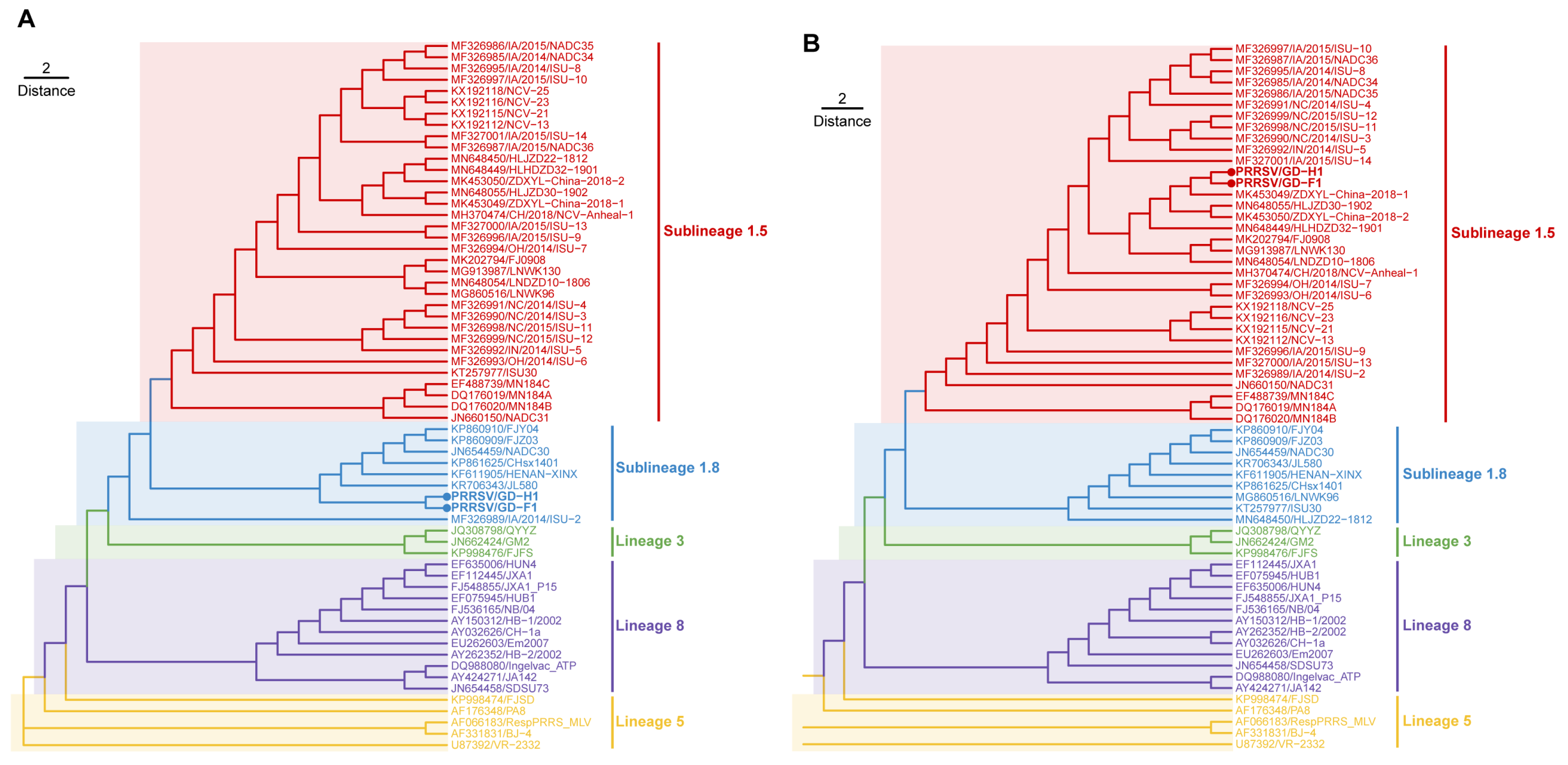 Viruses | Free Full-Text | Characterization and Pathogenicity of 