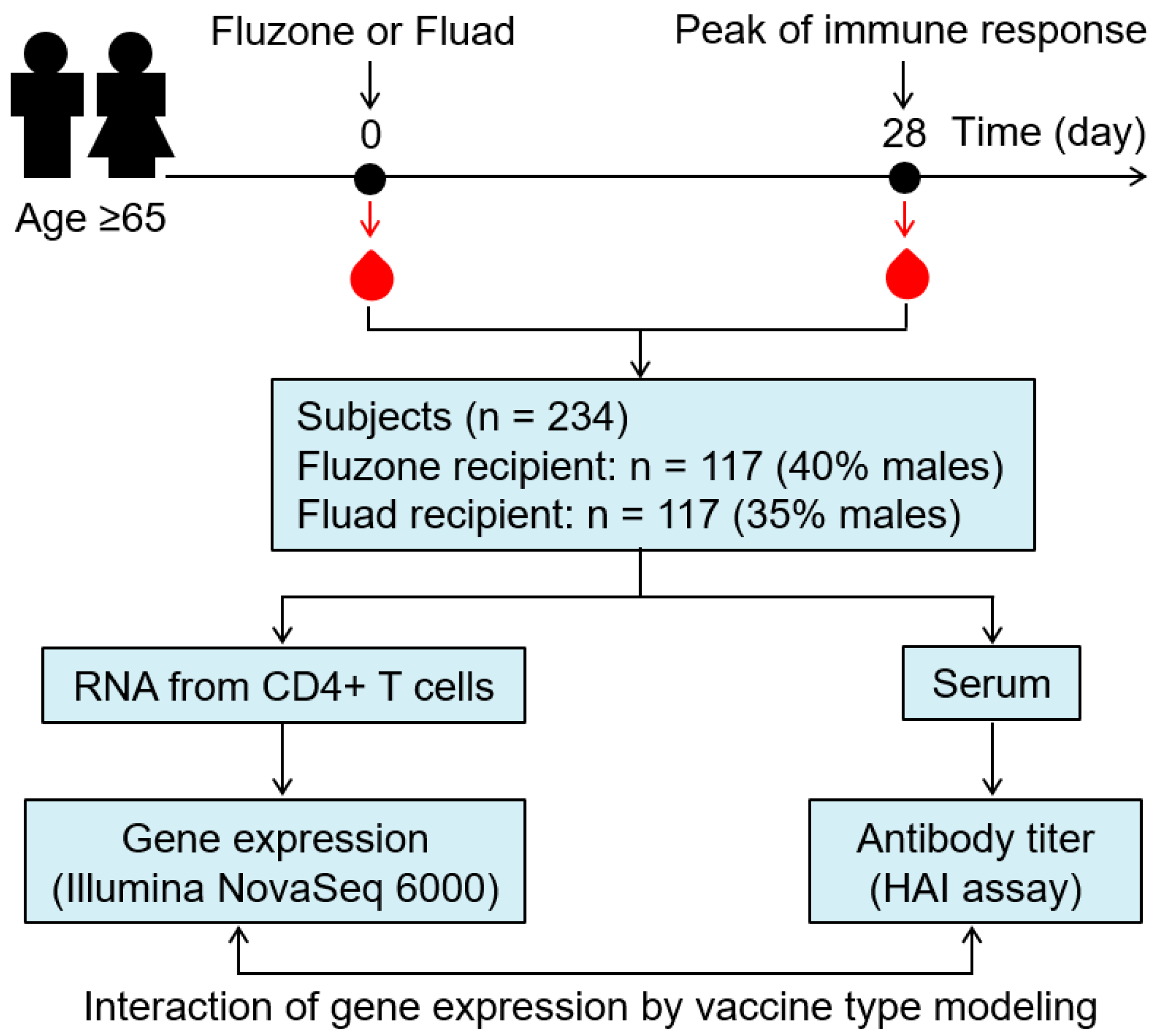 Timing and sequence of vaccination against COVID-19 and influenza