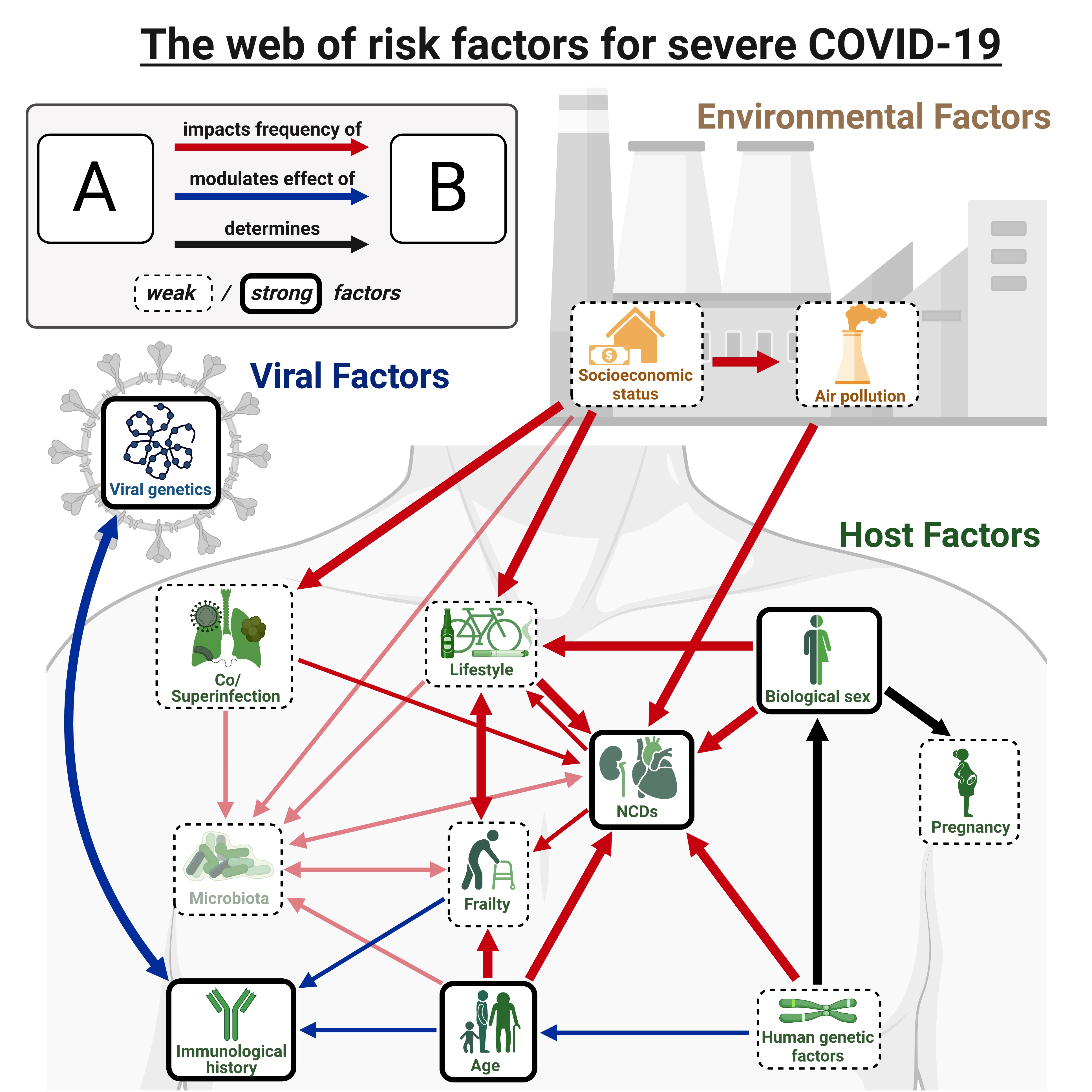 Viruses Free Full-Text Risk Factors of Severe COVID-19 A Review of Host, Viral and Environmental Factors image