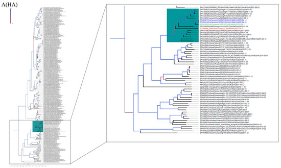Genetic Characterization and Pathogenesis of Avian Influenza Virus H3N8 ...