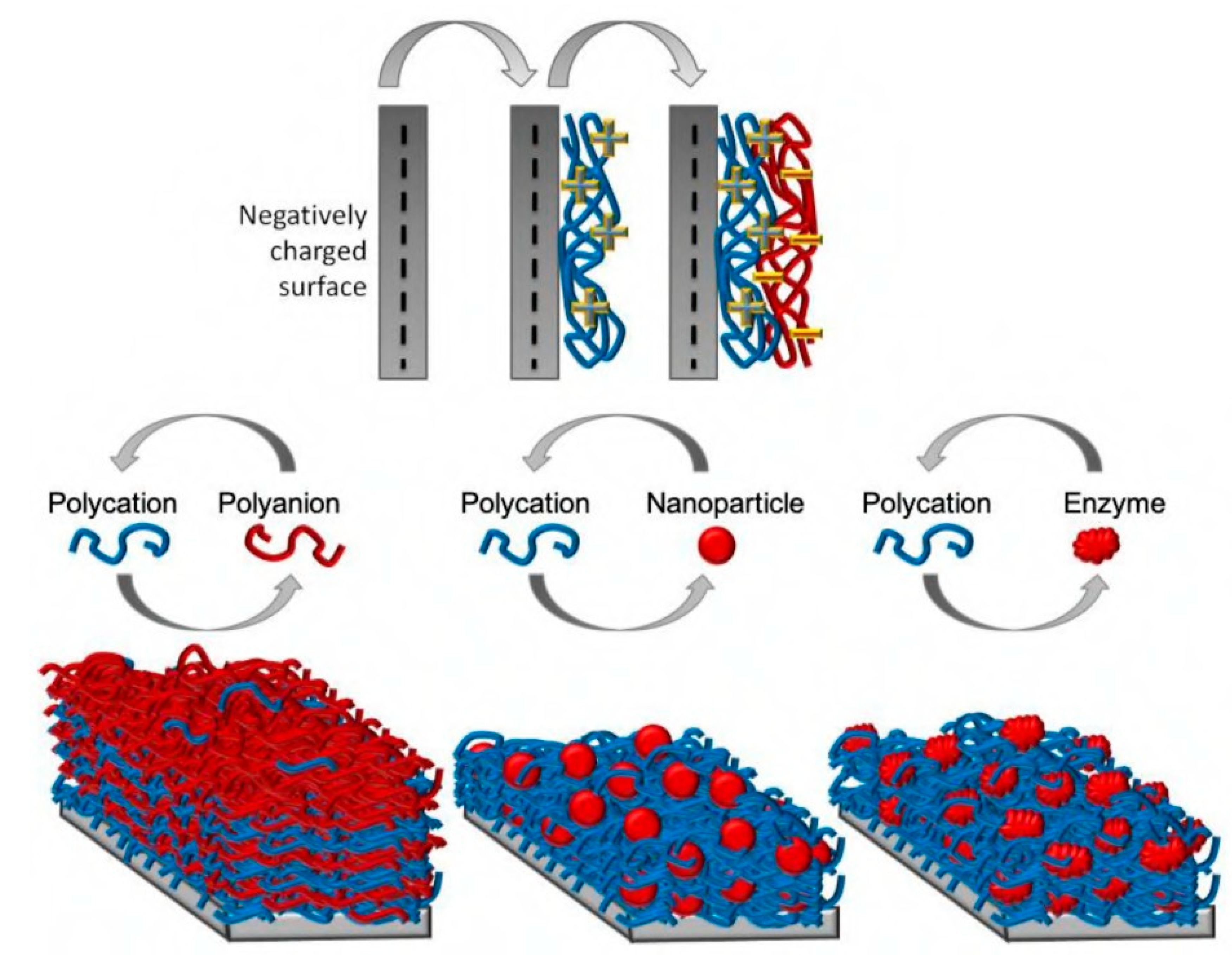 Multifunctional Surface Modification of PDMS for Antibacterial Contact  Killing and Drug-Delivery of Polar, Nonpolar, and Amphiphilic Drugs