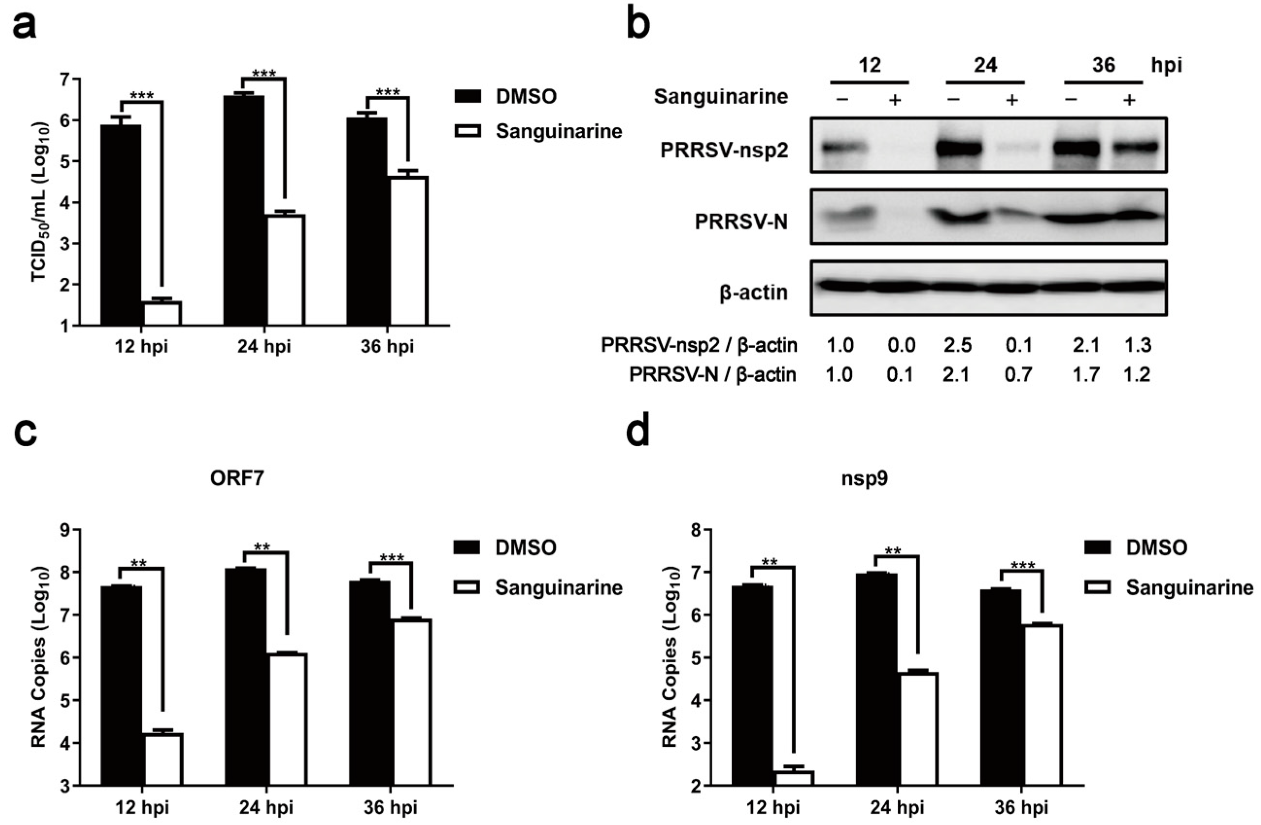 viruses-free-full-text-sanguinarine-exhibits-antiviral-activity