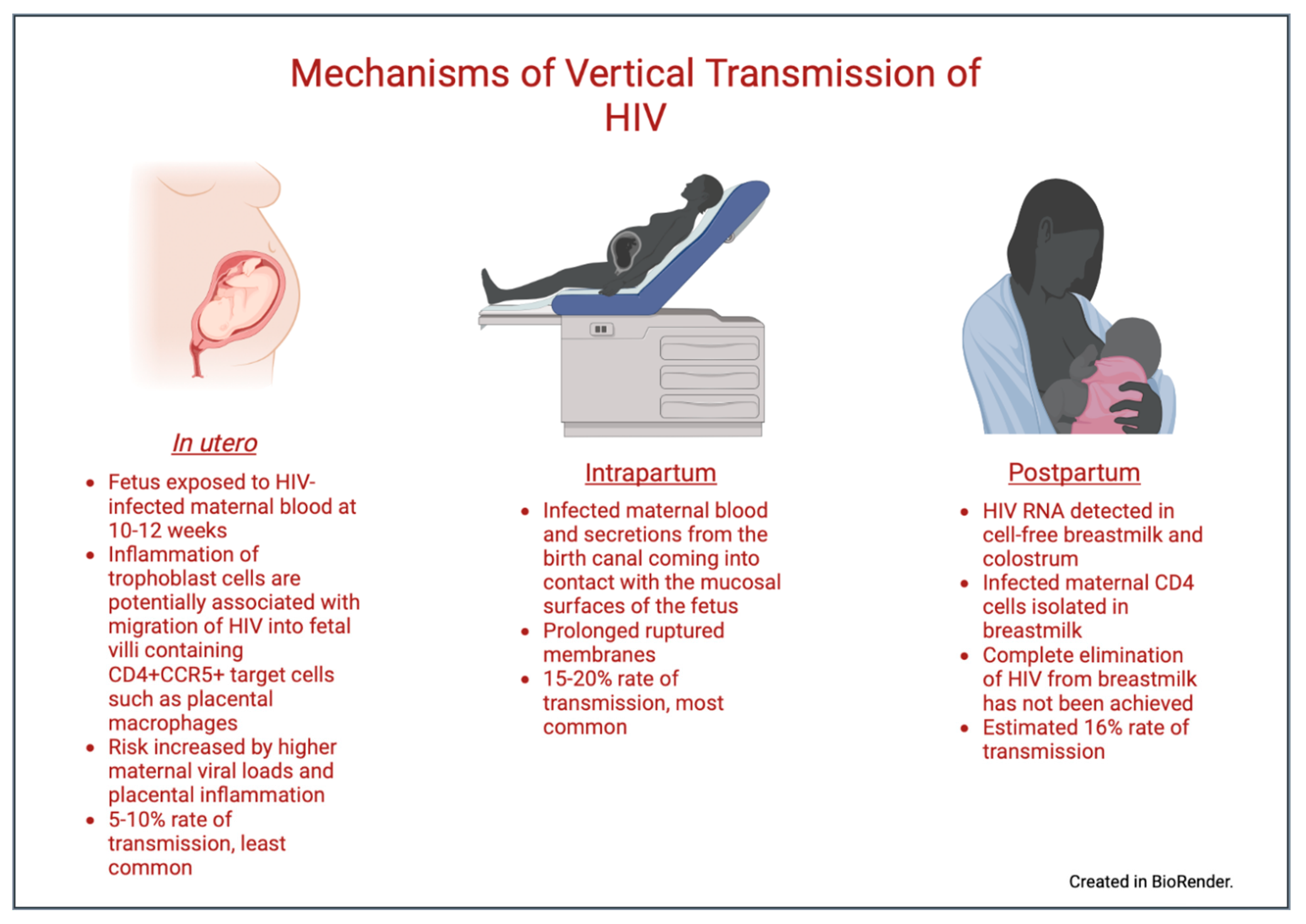 Prevention Of The Vertical Transmission Of HIV A Recap Of The Journey Prevention Of The Vertical Transmission Of HIV A Recap Of The Journey