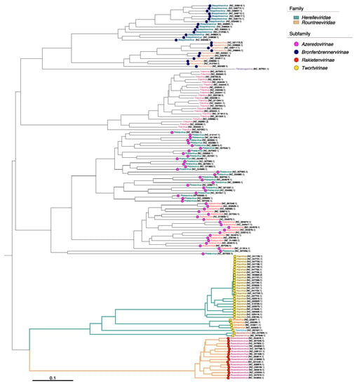 Viruses | Free Full-Text | Transcriptional Landscapes of Herelleviridae ...