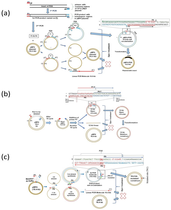 Viruses, Free Full-Text