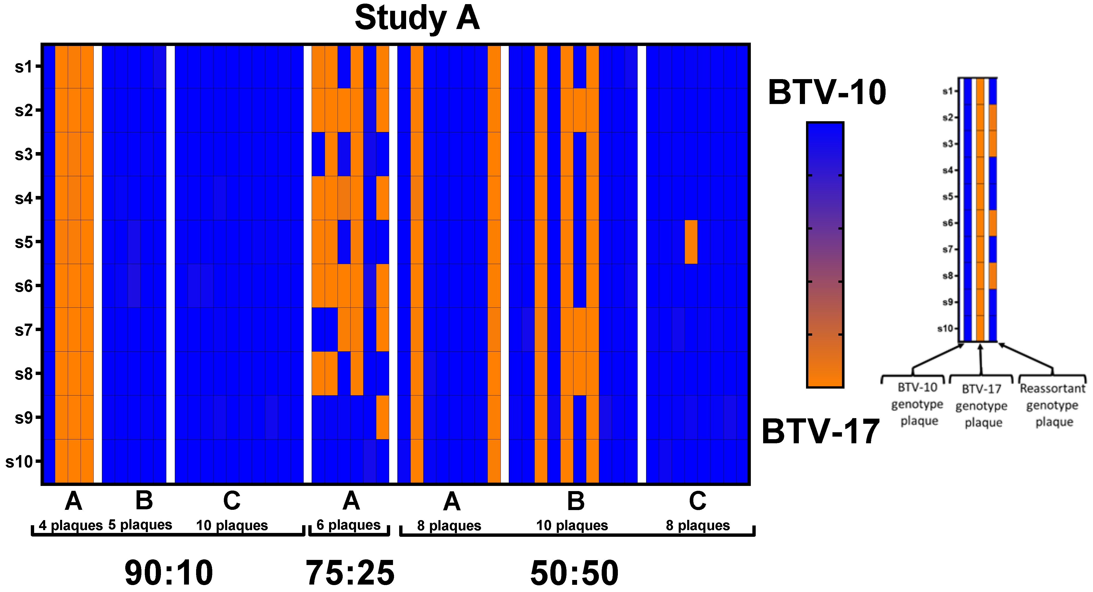 Viruses | Free Full-Text | Assessing Reassortment Between Bluetongue ...