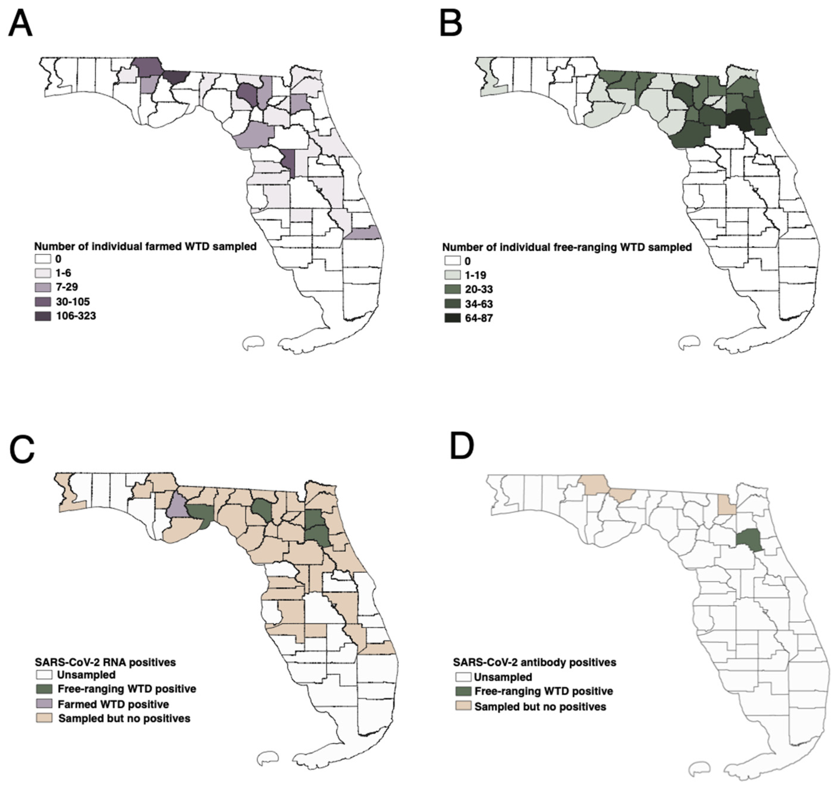 Low Prevalence of SARS CoV 2 in Farmed and Free Ranging White  