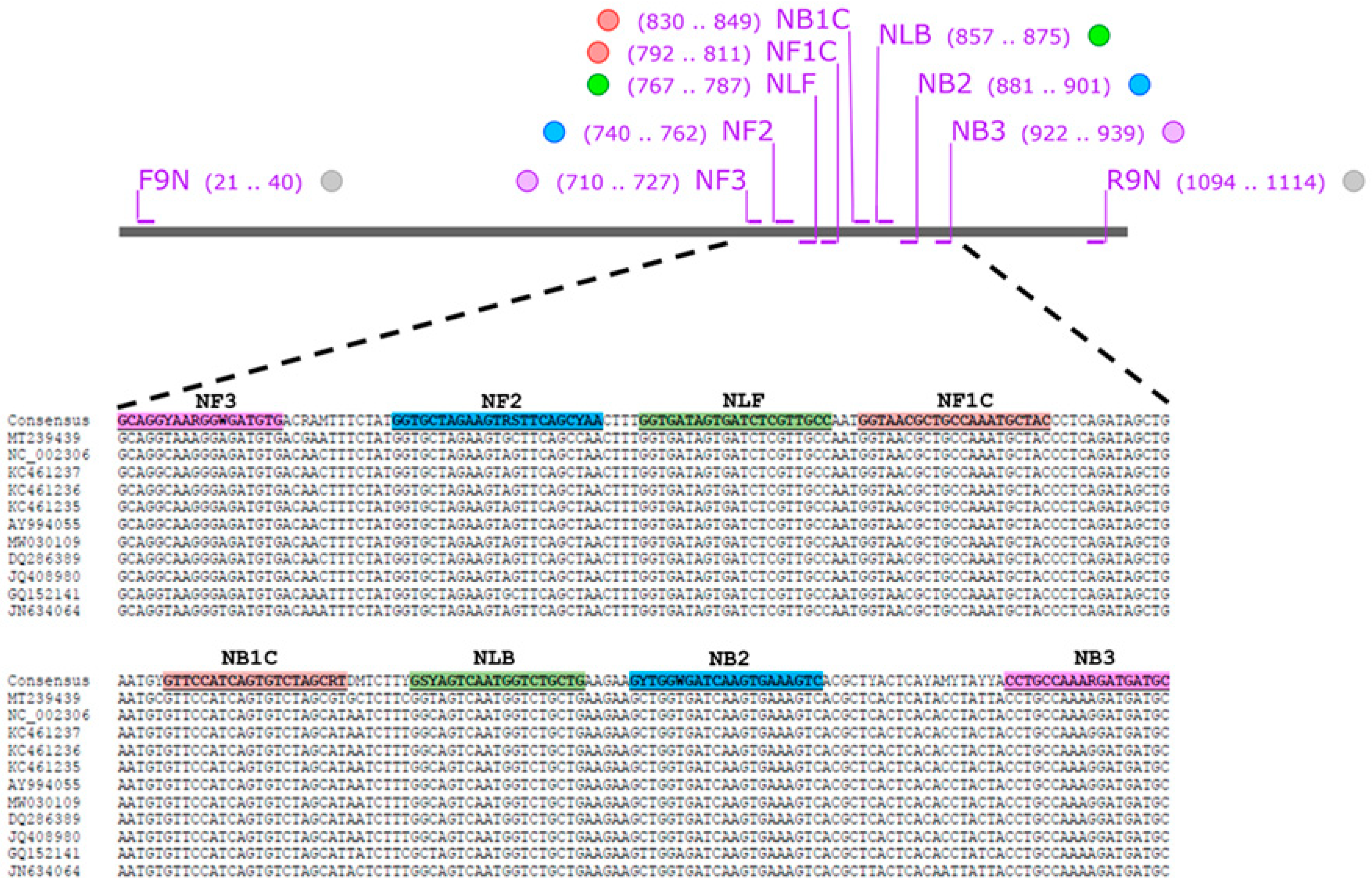 Colorimetric Reverse Transcription Loop-Mediated Isothermal ...