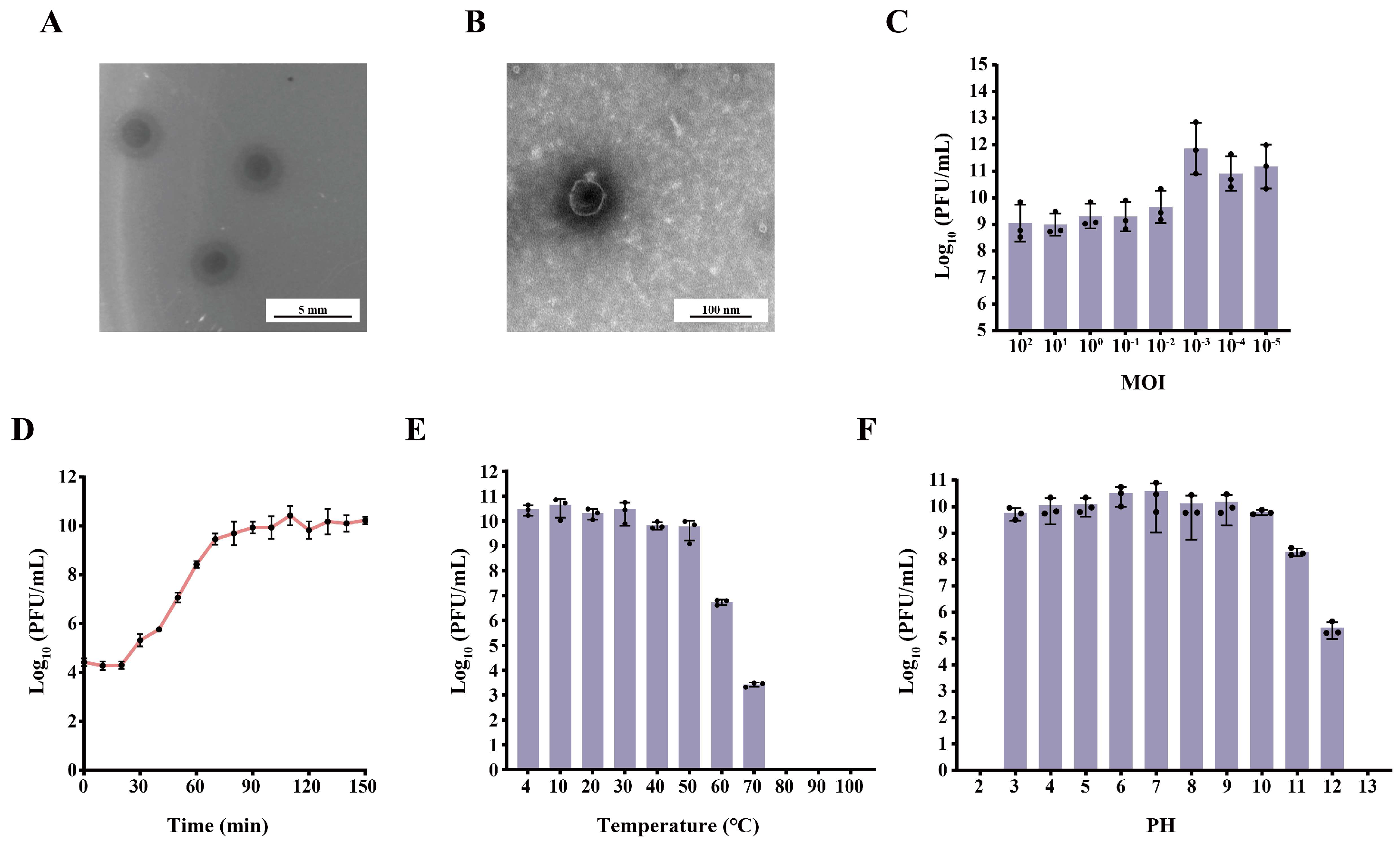Characterization of a Phage-Encoded Depolymerase Against