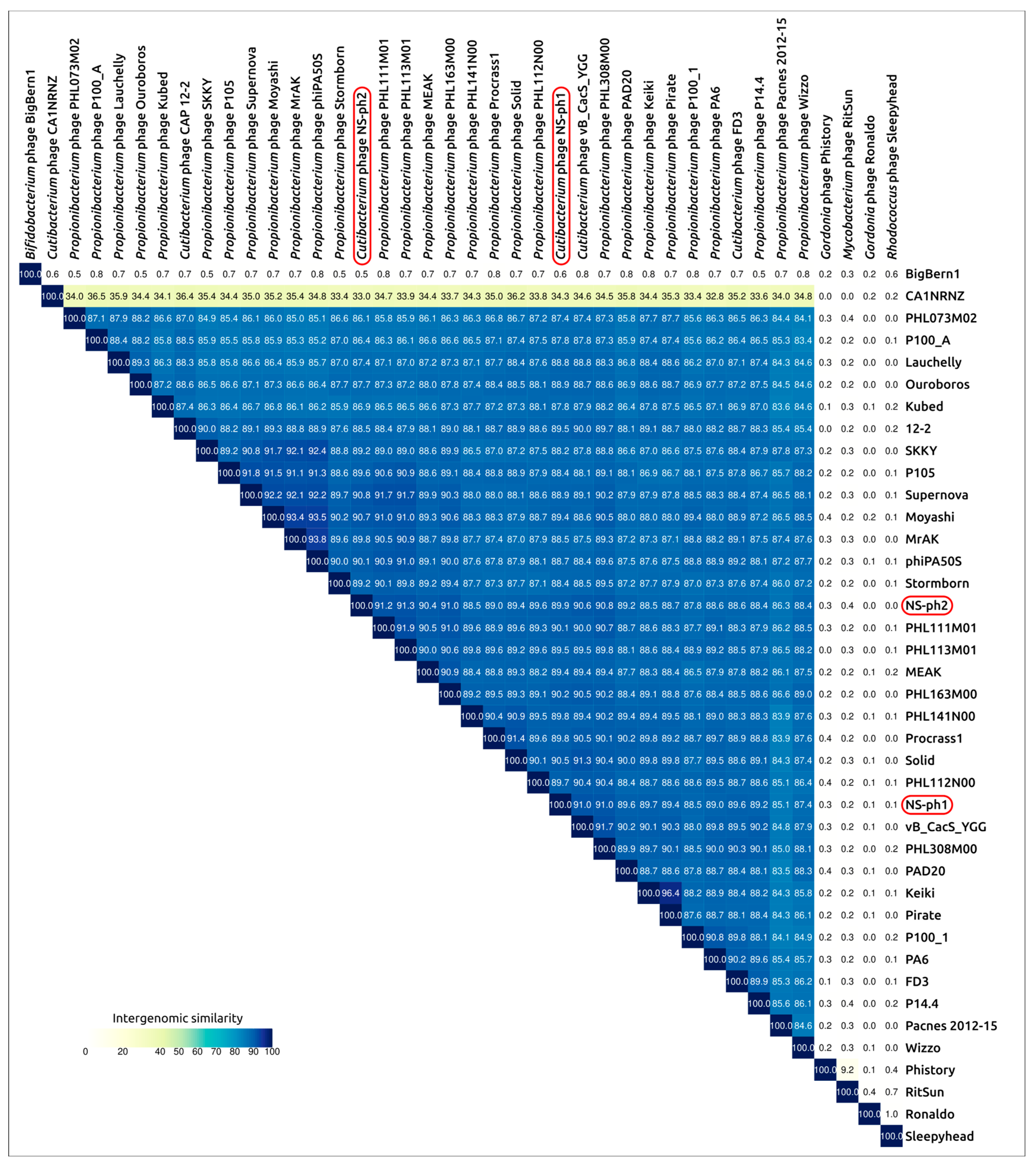 Isolation and Genomic Characterization of Two Lytic Cutibacterium acnes ...