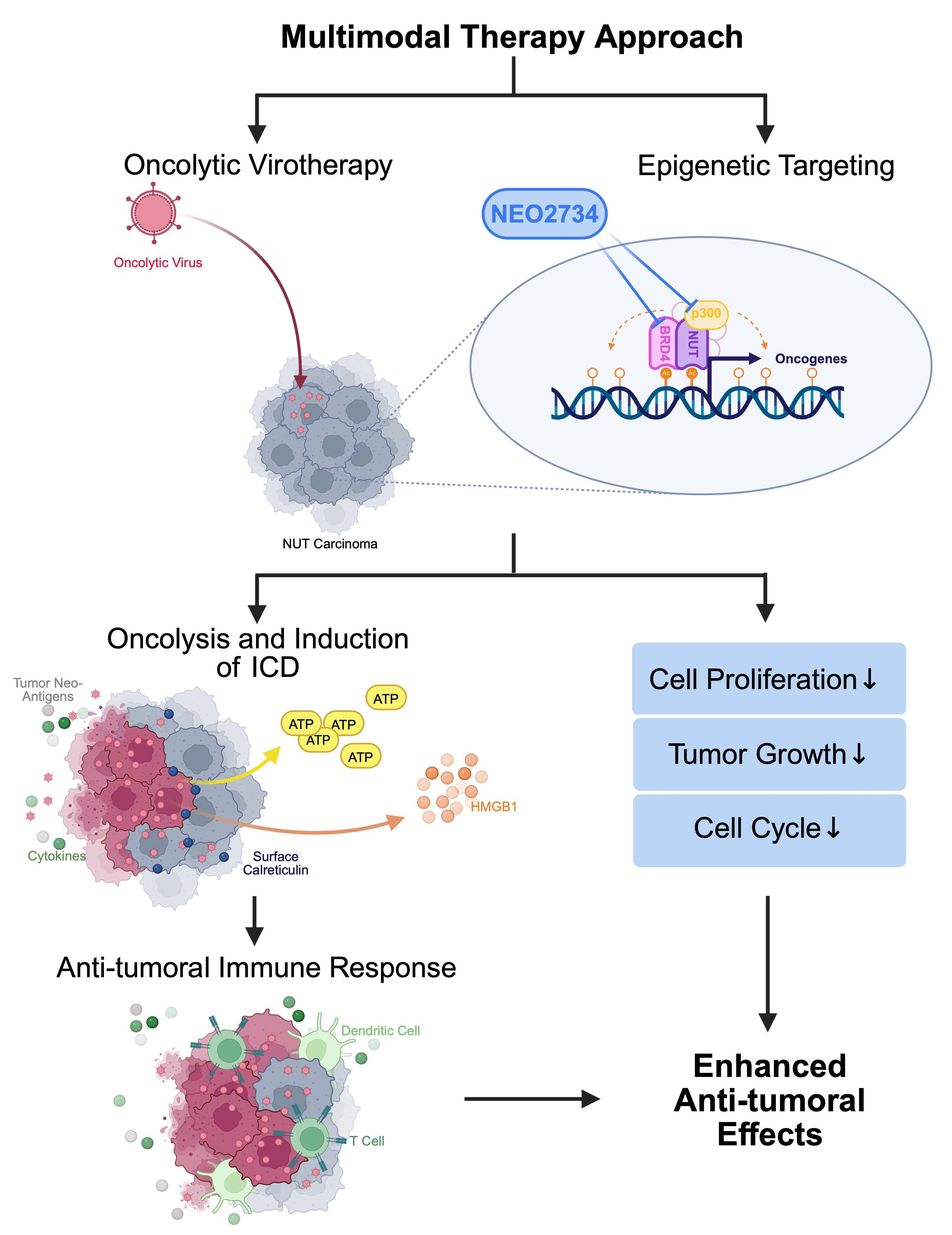 Enhanced Antitumor Activity and Induction of Immunogenic Cell Death in ...