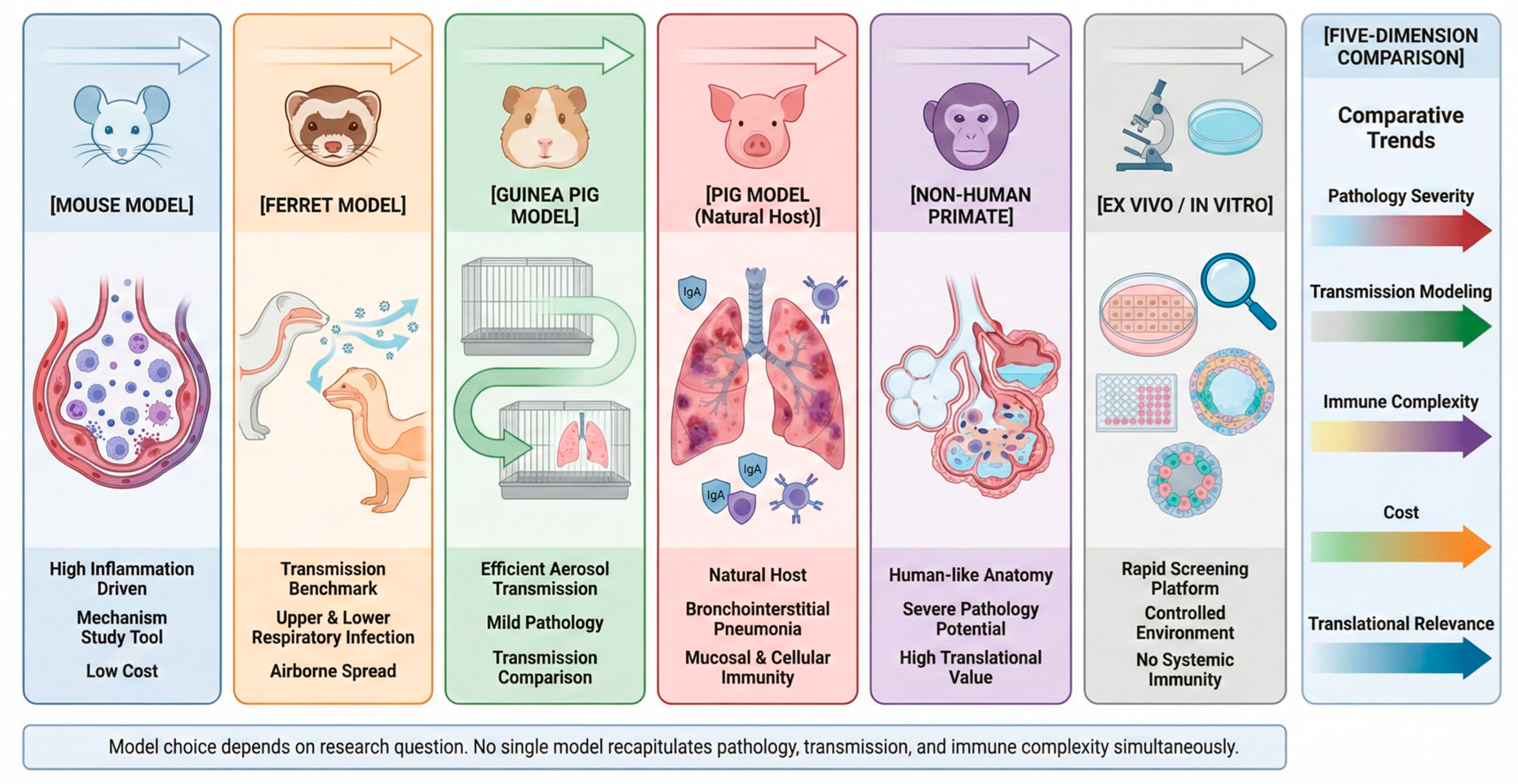 Animal Models for Swine Influenza Virus Research: Pathology, Viral ...