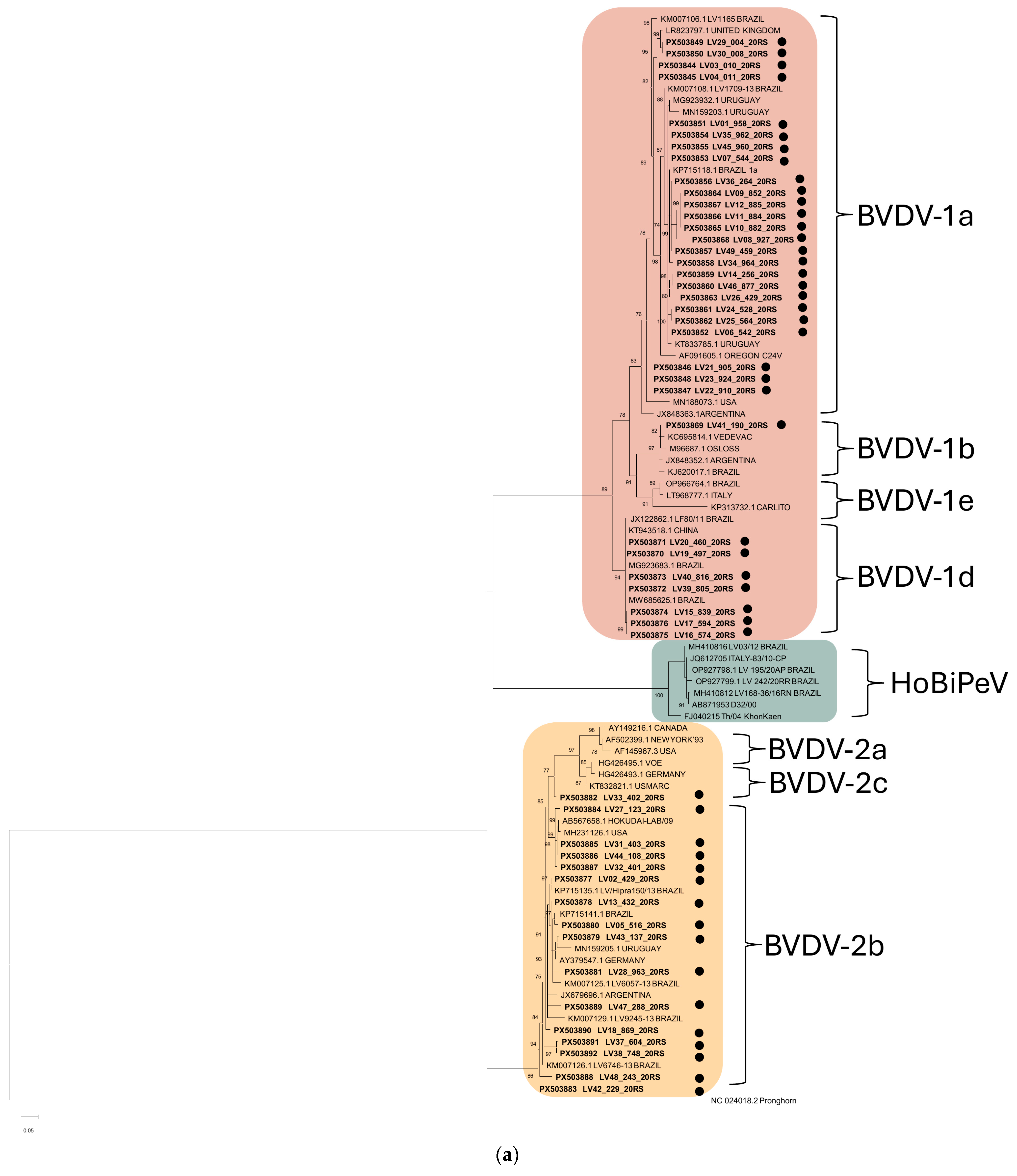 Genomic Surveillance of BVDV in Southern Brazil: What Changed After a ...