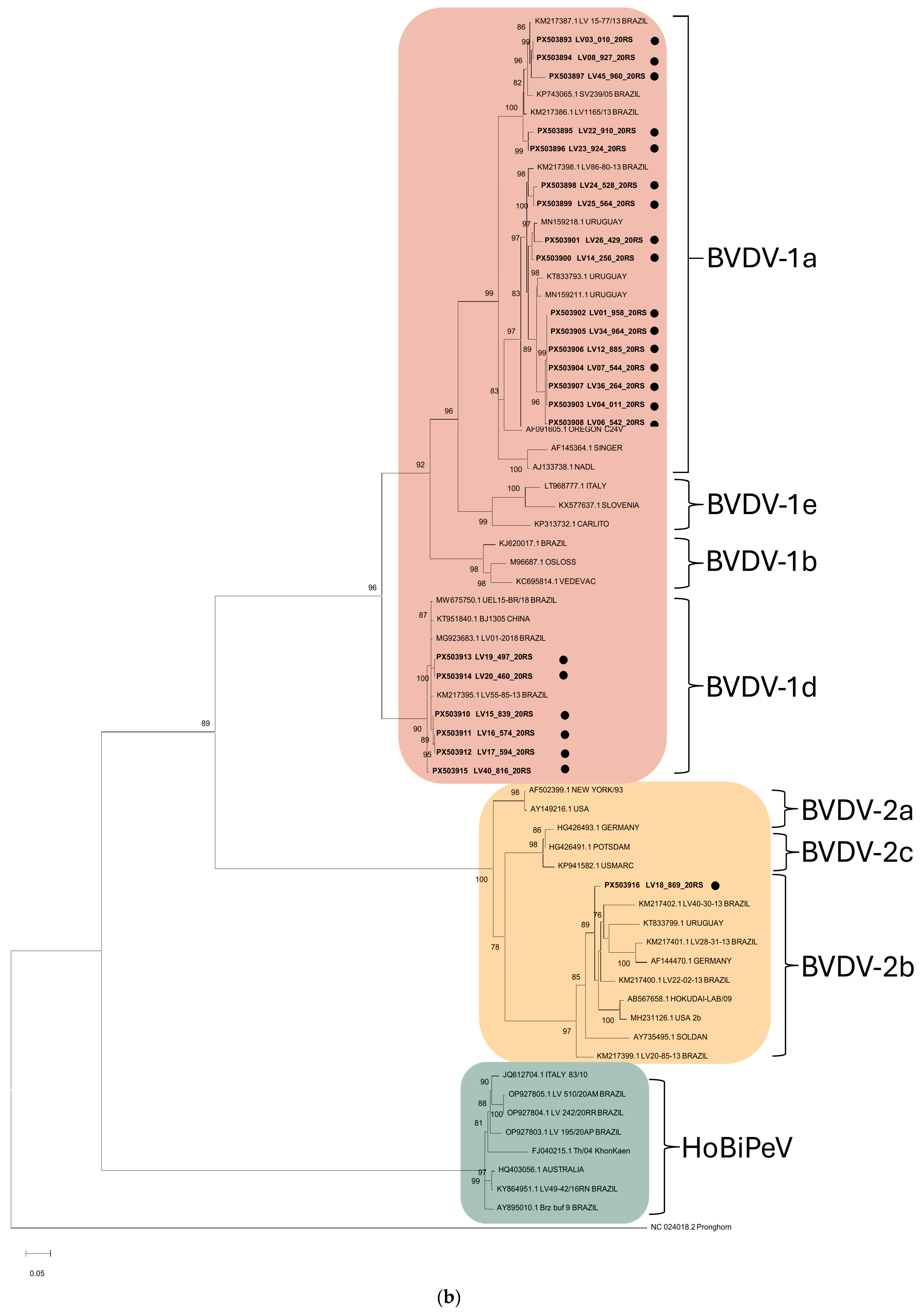 Genomic Surveillance of BVDV in Southern Brazil: What Changed After a ...