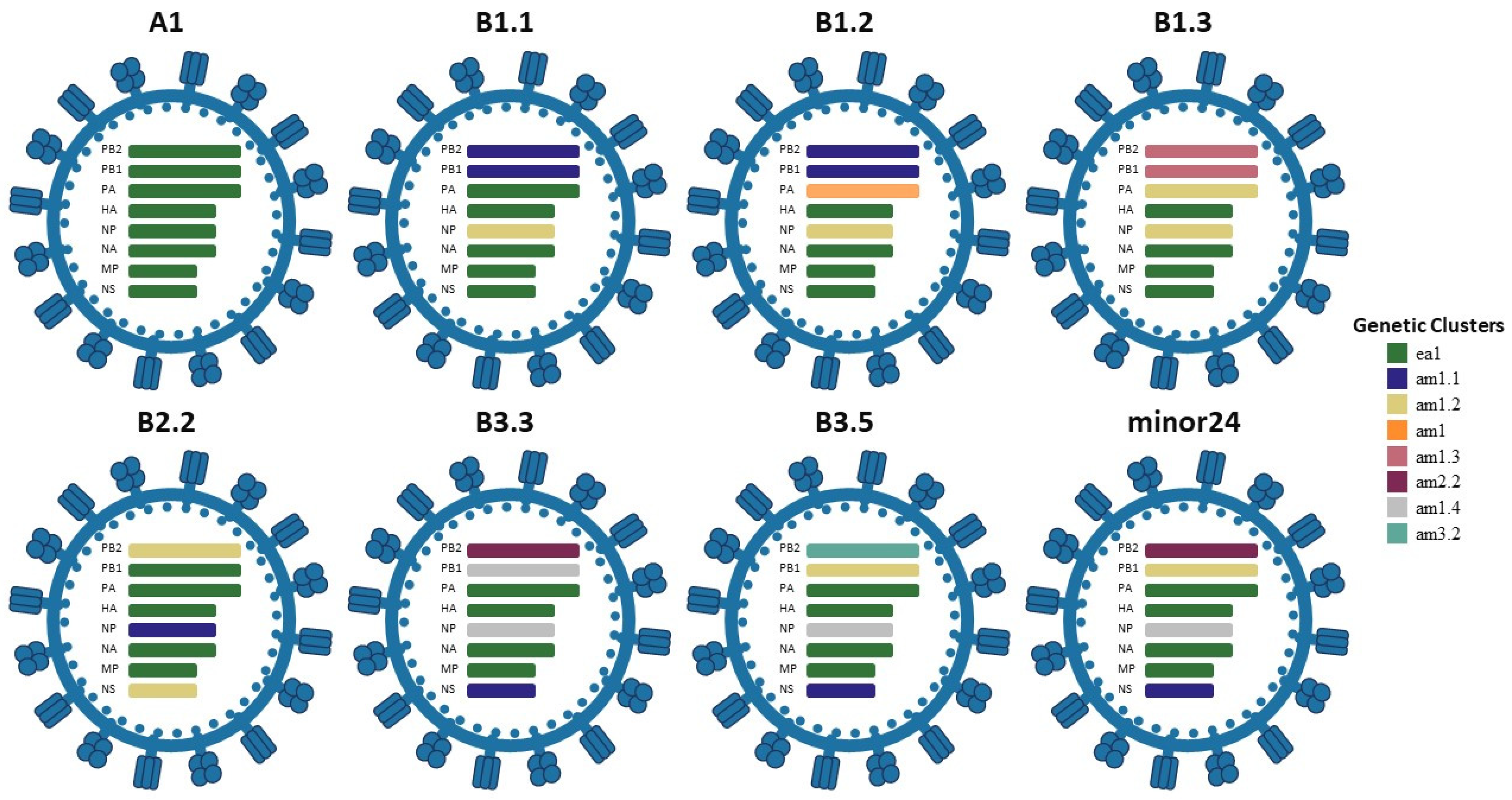 Genotype Diversity of Highly Pathogenic Avian Influenza H5N1 Clade 2.3. ...