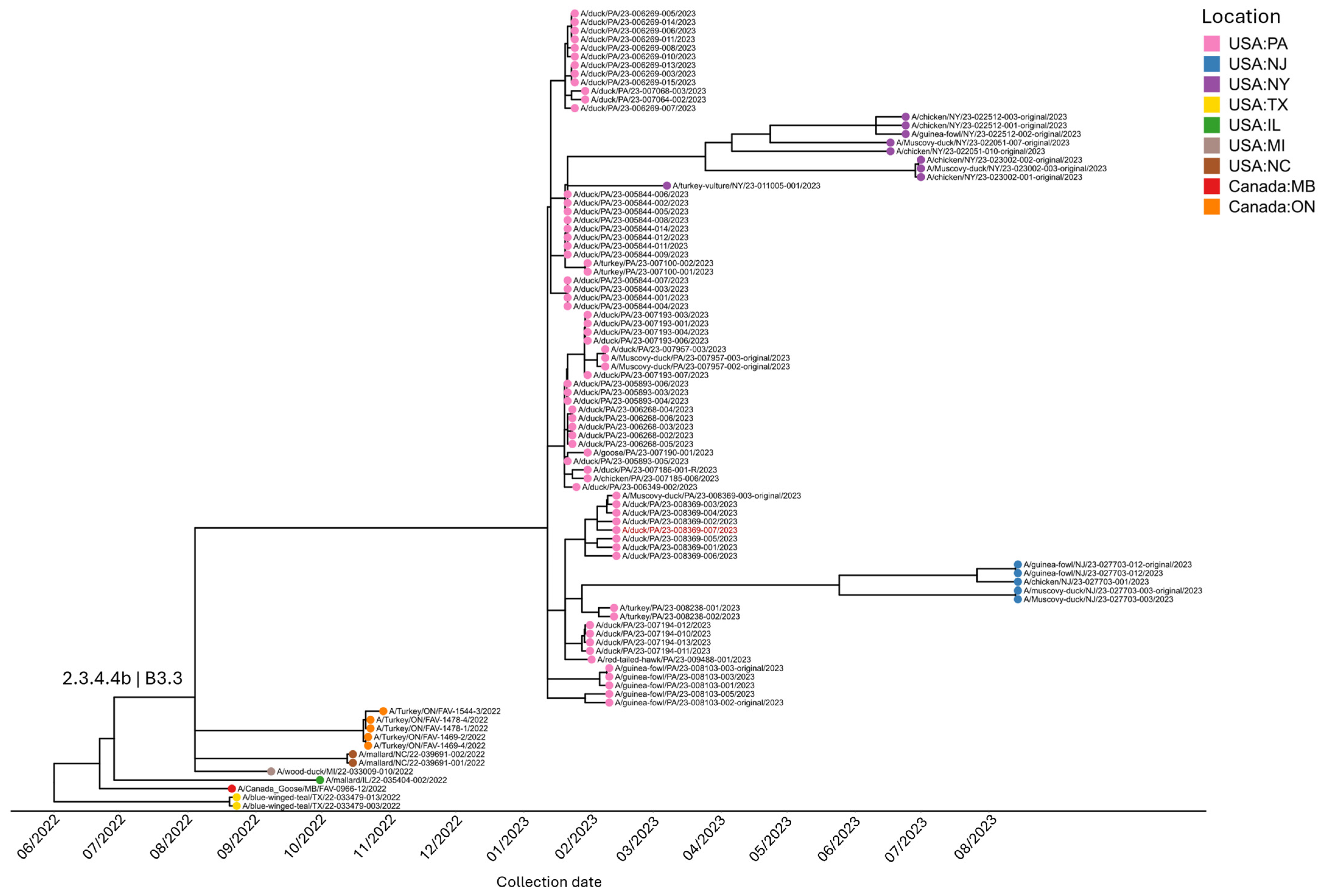 Genotype Diversity of Highly Pathogenic Avian Influenza H5N1 Clade 2.3. ...