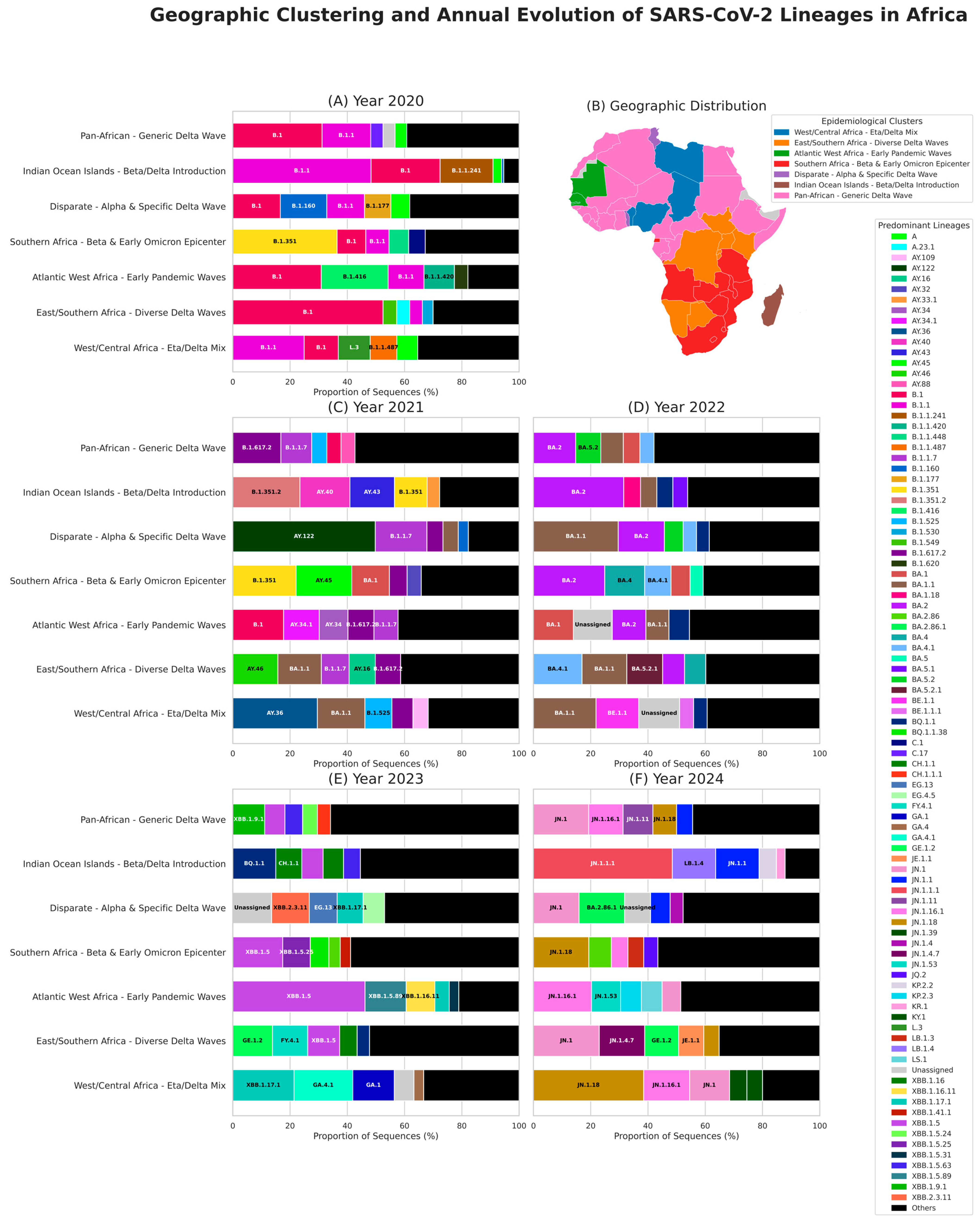 Dual Aspect of the Pandemic on the African Continent: Viral ...