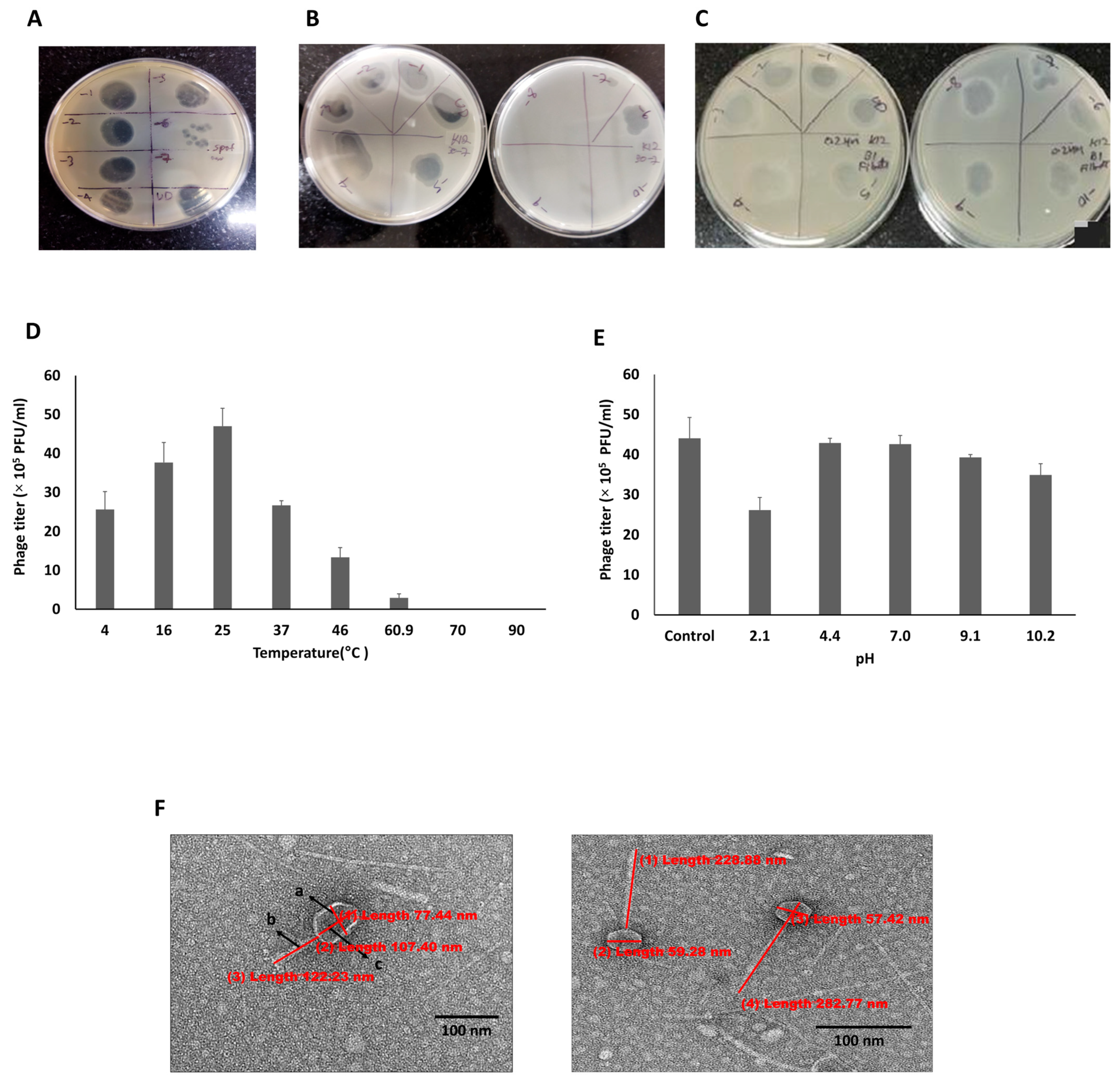 Isolation and Genomic Characterization of a Lytic Bacteriophage Against ...