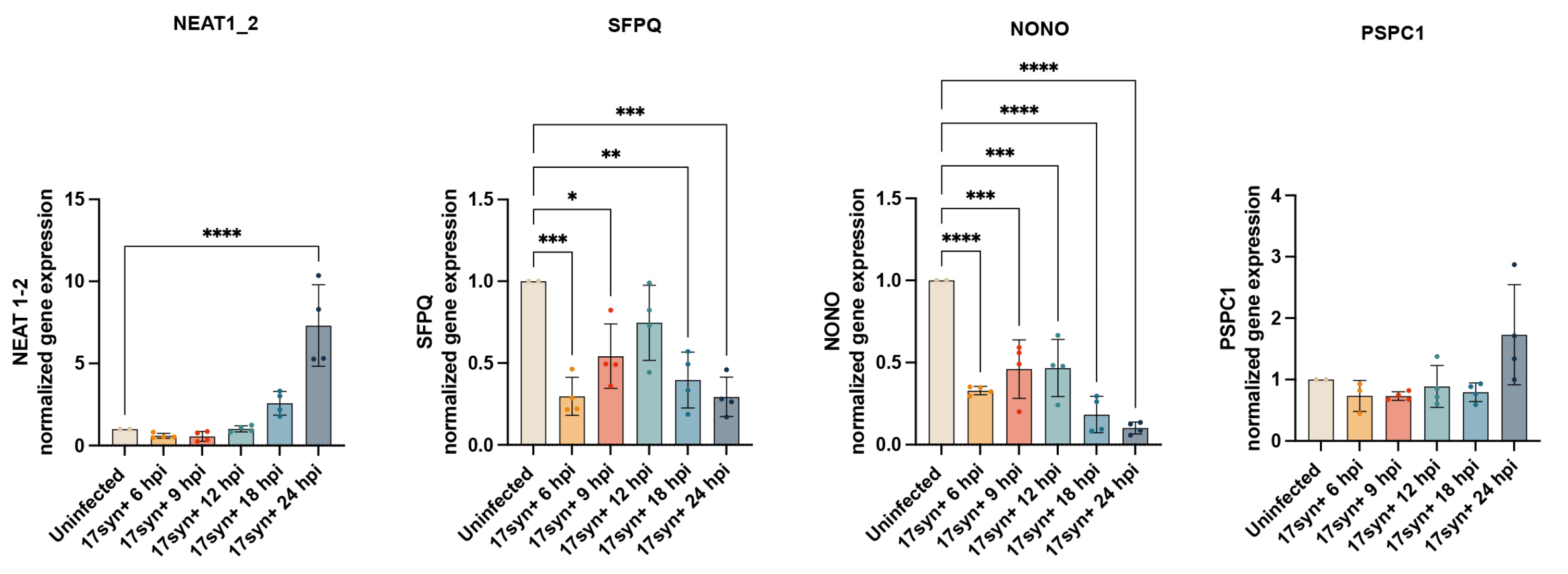 Dynamics of Paraspeckle Components in Herpes Simplex Virus 1 (HSV-1 ...