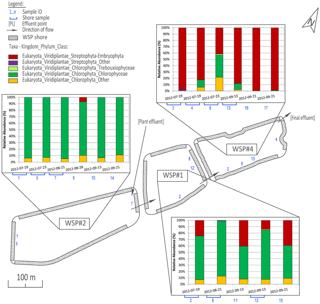 Water | Free Full-Text | Determination of Algae and Macrophyte Species ...