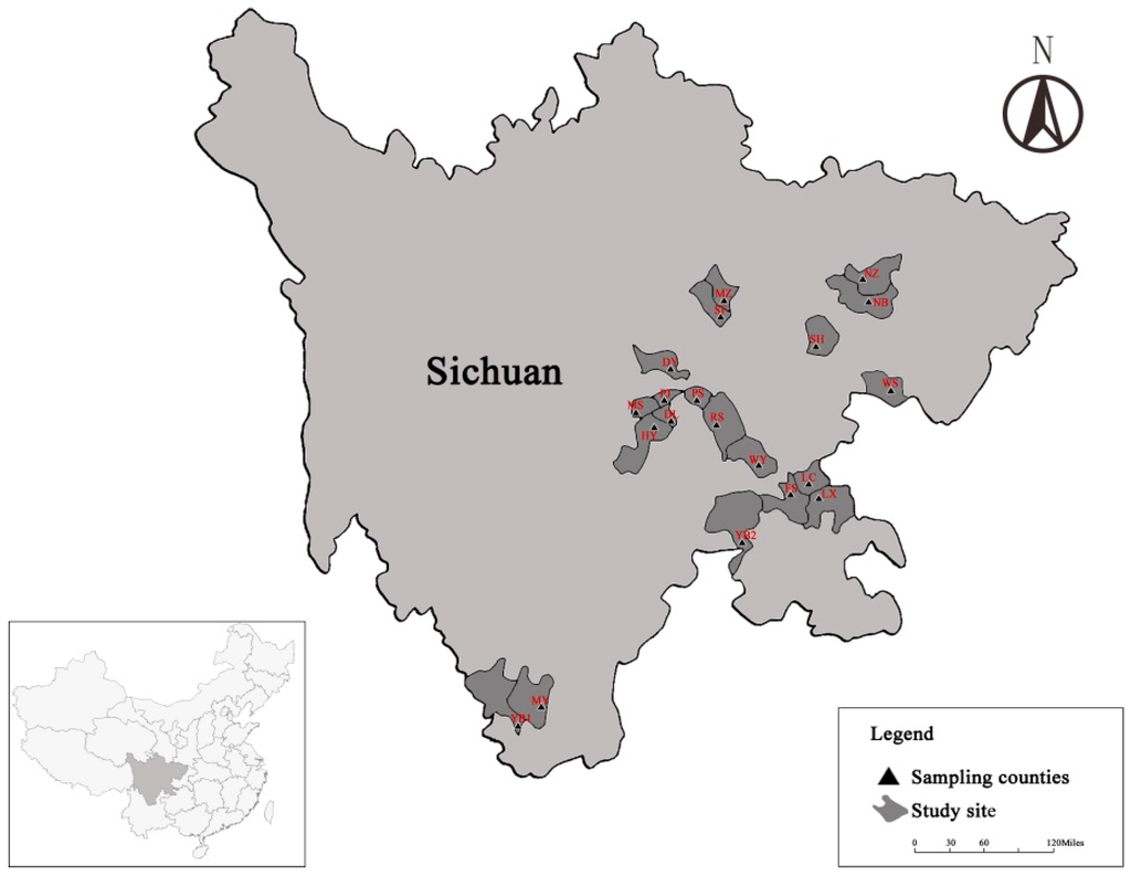 Water Free FullText Understanding Farmers’ DecisionMaking in