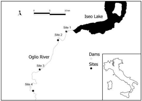 Water | Free Full-Text | Taxonomic and Functional Responses of