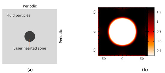 Growth and Collapse Dynamics of a Vapor Bubble near or at a Wall