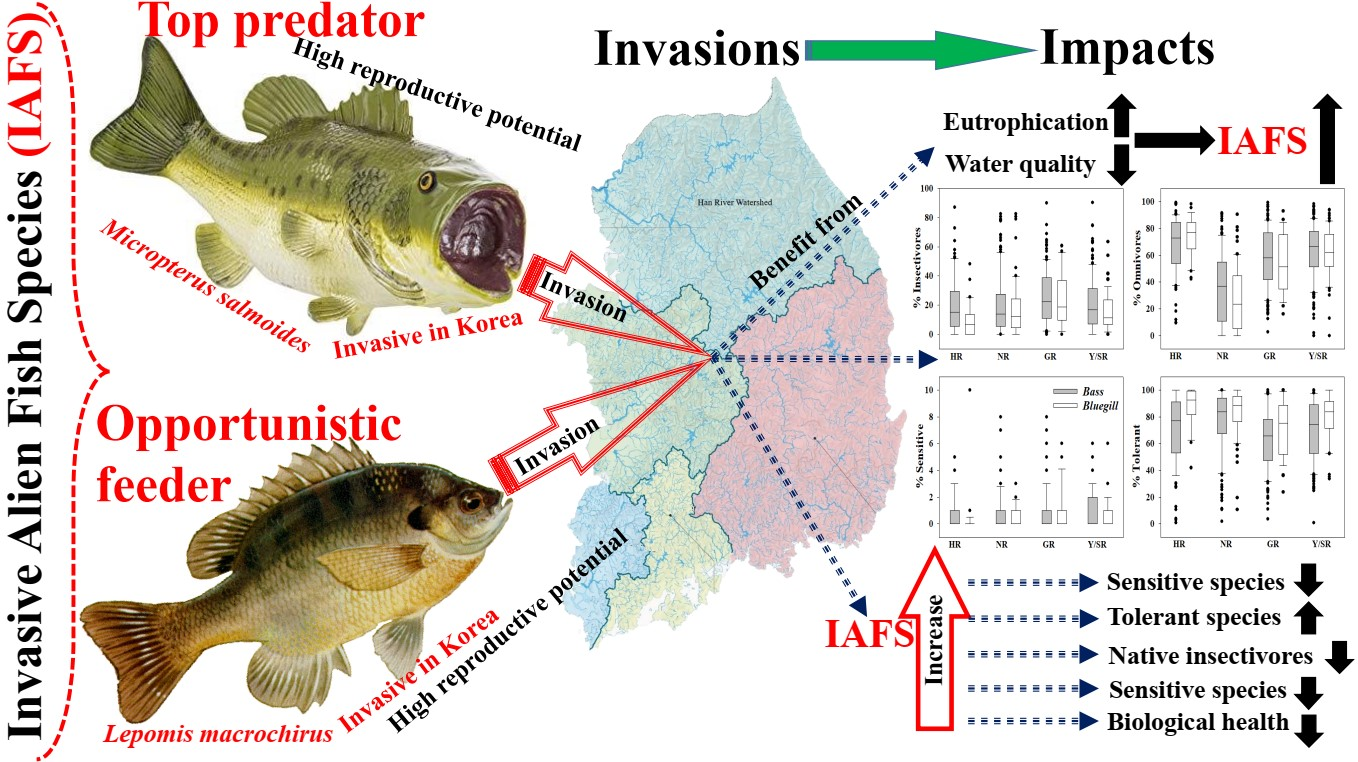 Water | Free Full-Text | Relative Abundance and Invasion Dynamics of Alien  Fish Species Linked to Chemical Conditions, Ecosystem Health, Native Fish  Assemblage, and Stream Order