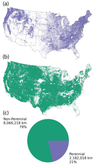 Global prevalence of non-perennial rivers and streams