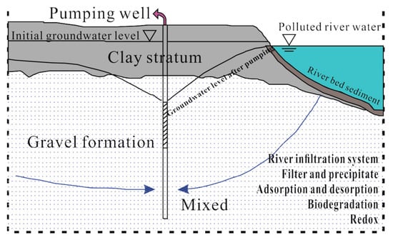 Water | Free Full-Text | A Comprehensive Evaluation Model of Ammonia ...