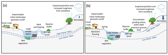 Water | Free Full-Text | Exploring the Capability of Natural Flood ...