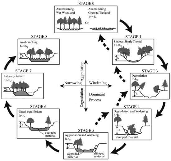 Impacts of Massive Sediment Input on the Channel Geometry Adjustment of ...