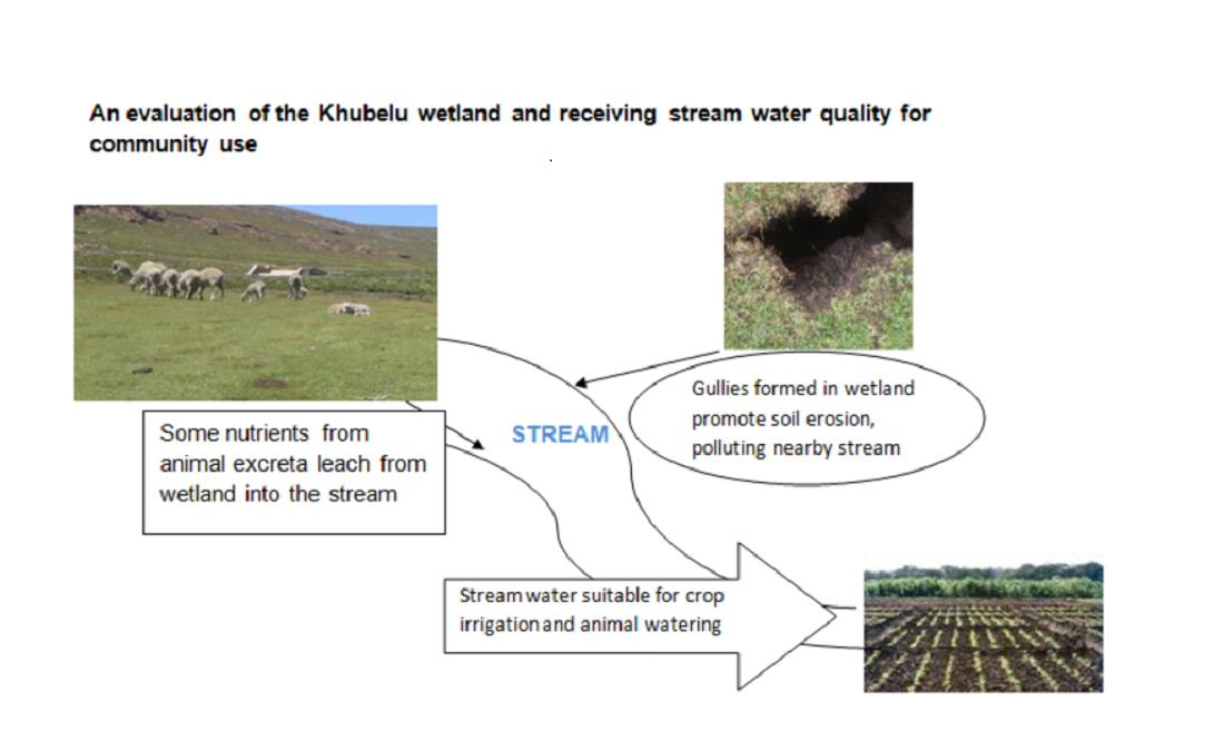 Water | Free Full-Text | An Evaluation of the Khubelu Wetland and Receiving  Stream Water Quality for Community Use