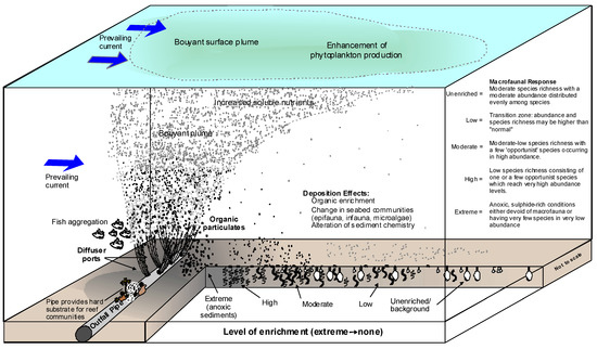 Modified conceptual model of the surf zone showing the two sub