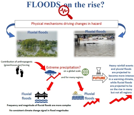 effects of floods