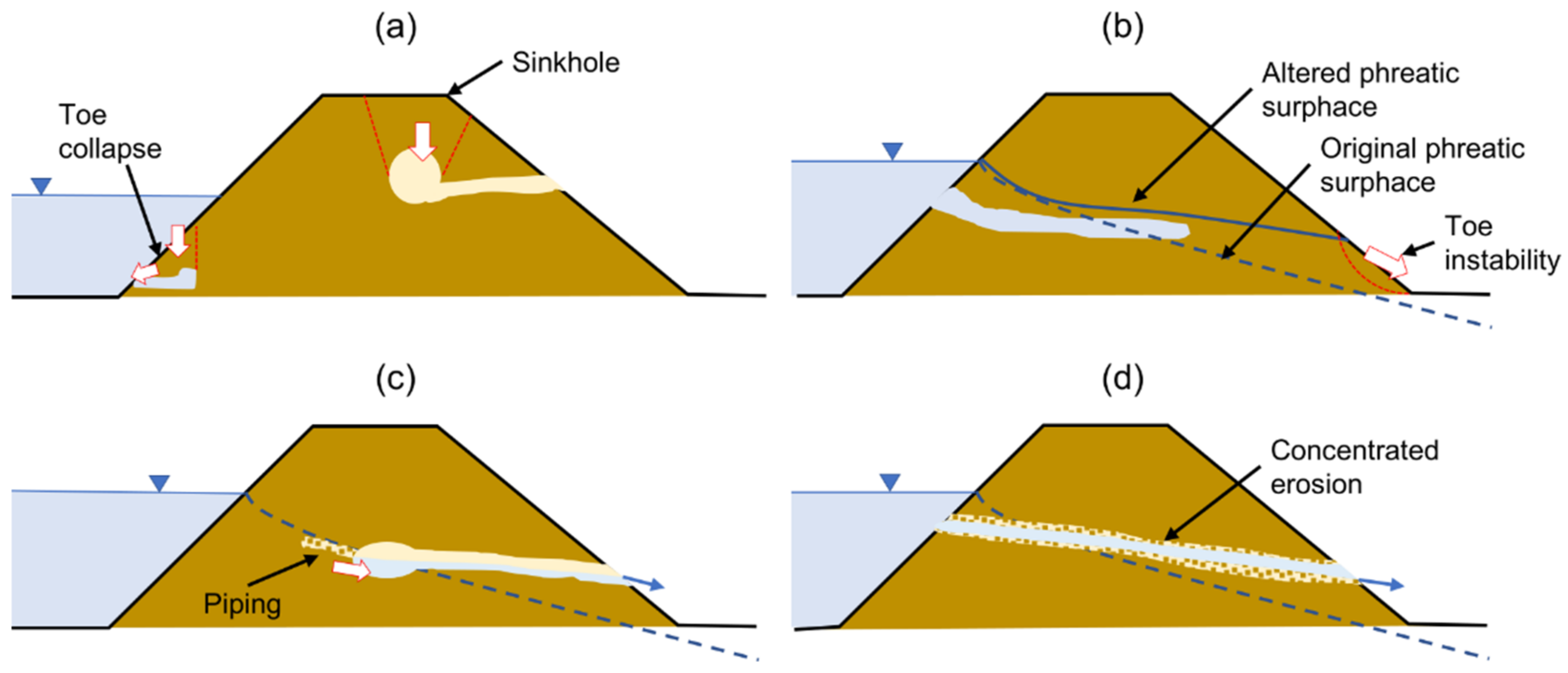 Water | Free Full-Text | Effect of Animal Burrows on the Vulnerability of  Levees to Concentrated Erosion