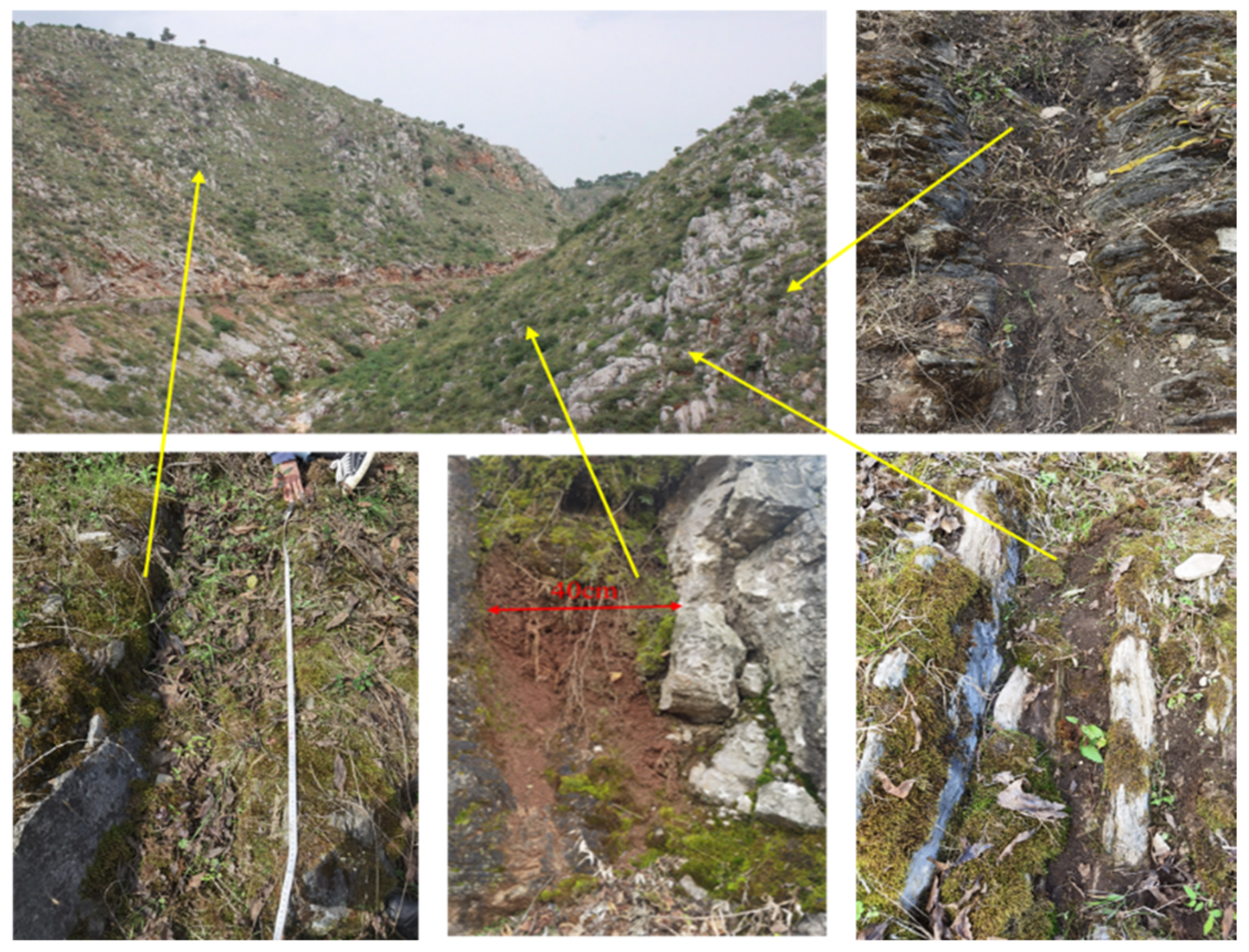Water Free Full-Text Effects of Moss Overlay on Soil Patch Infiltration  and Runoff in Karst Rocky Desertification Slope Land