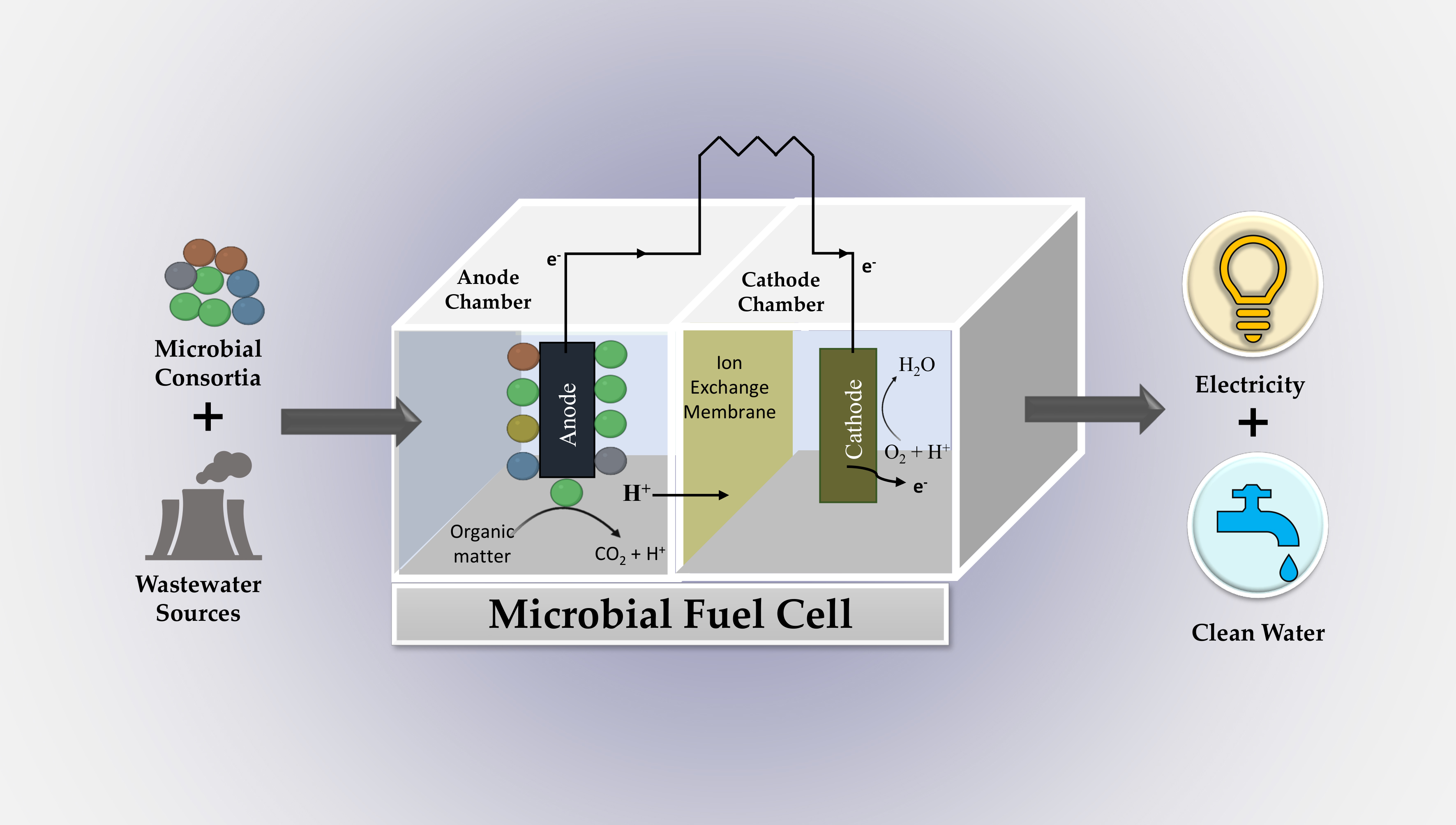 Water | Free Full-Text | A Perspective Review on Microbial Fuel 