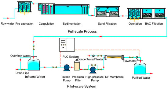 Water | Free Full-Text | Combining Full-Scale Ozonation and Biological ...