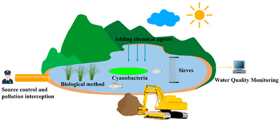 Comparison of the Advantages and Disadvantages of Algae Removal ...