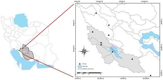 Uncovering the Depletion Patterns of Inland Water Bodies via