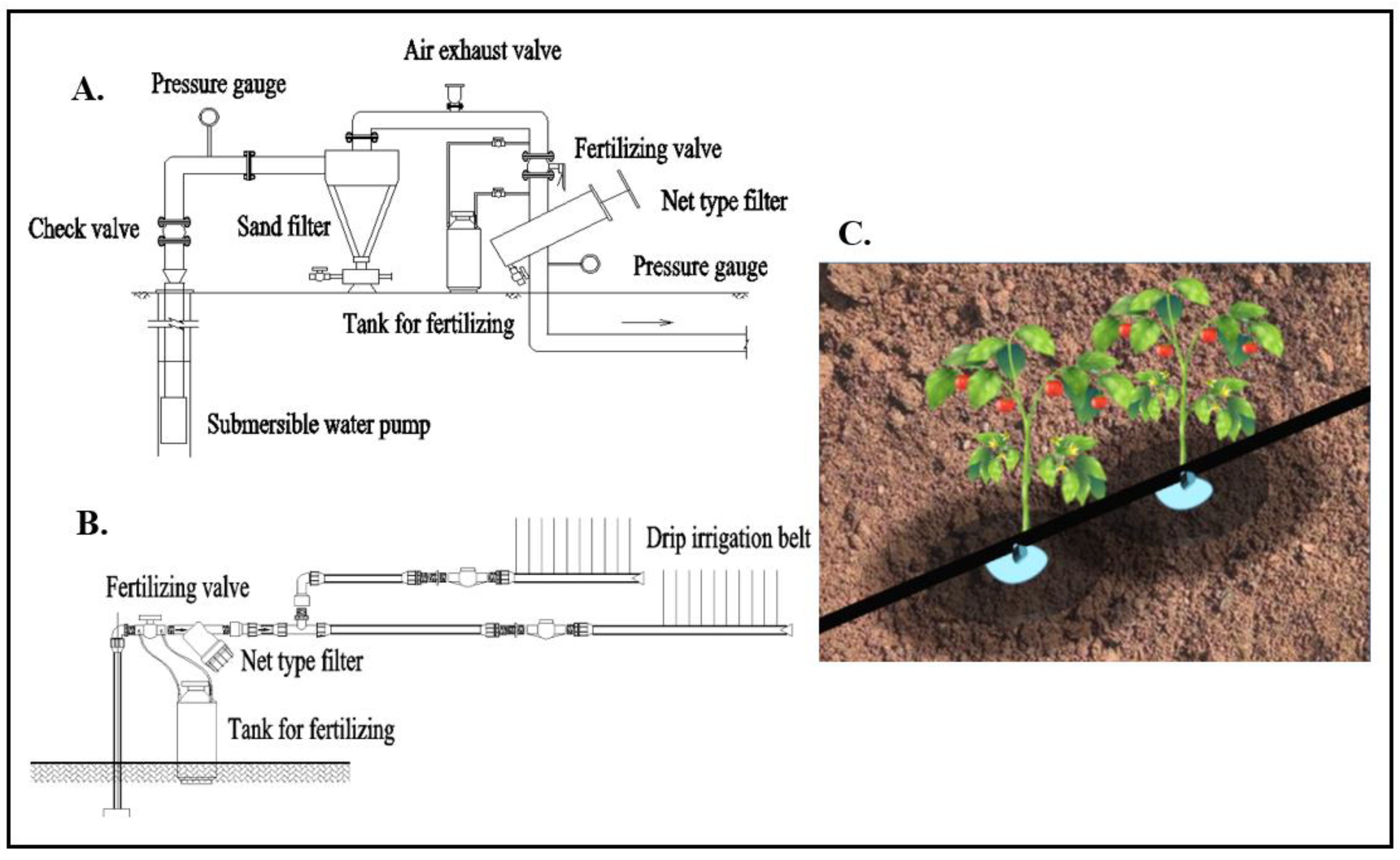 Irrigation: Meaning, Traditional Methods, Modern Methods with Videos