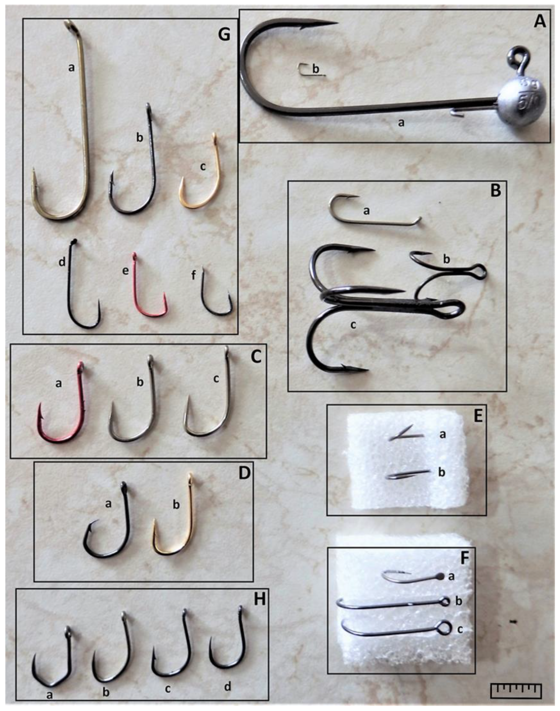 Hook 'Em In: Know the Different Types of Fishing Hooks