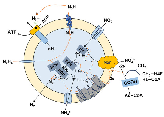 n  Numerical modeling of residual stress of 40cr gear by double