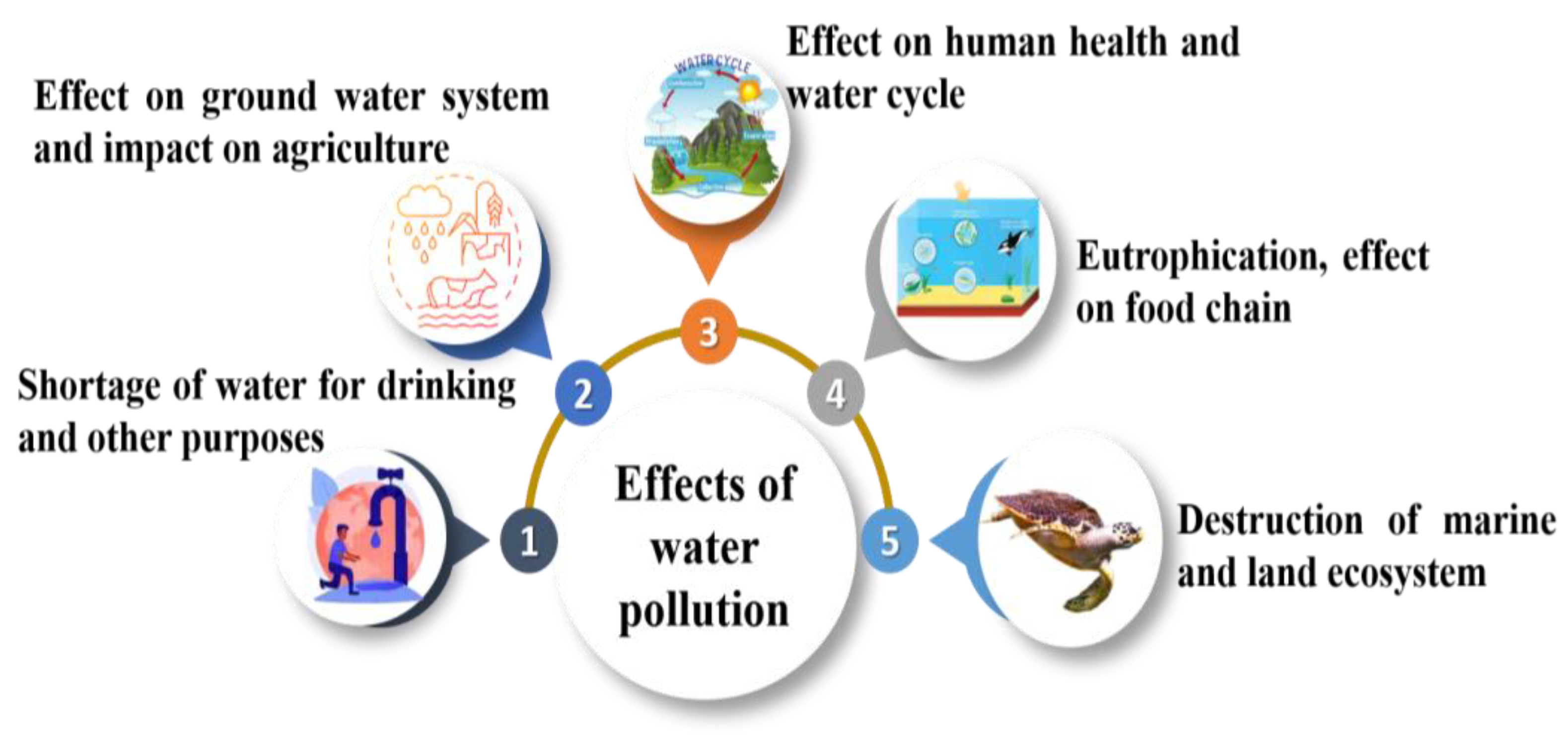 Water Pollution Effects On Humans Water Pollution Water Pollution Effects On Humans Water Pollution