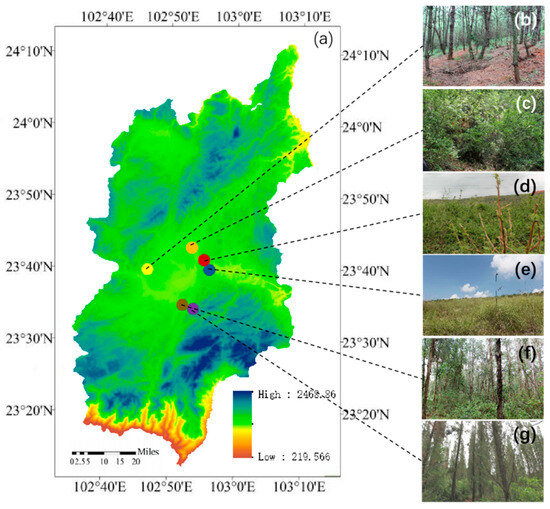 Water | Free Full-Text | Investigating Soil Pore Network Connectivity