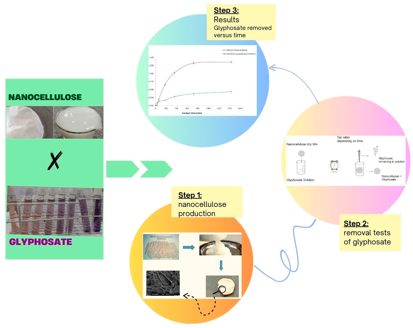 Water | Free Full-Text | Removal of Glyphosate with Nanocellulose for  Decontamination Purposes in Aquatic Systems